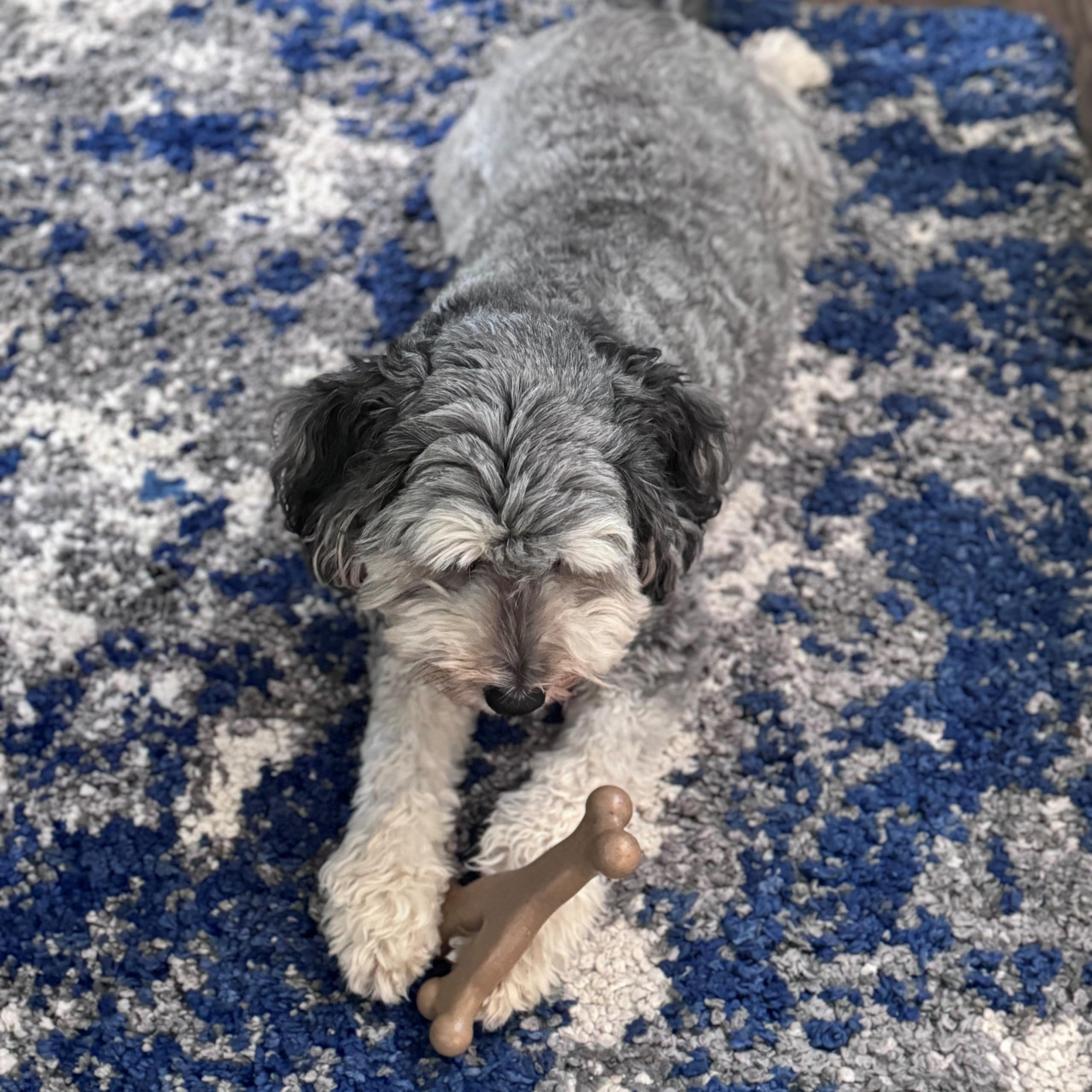 Spot Bam-Bones Wishbone - Made With Strong Bamboo Fiber, Durable Long Lasting Dog Chew For Light To Moderate Chewers, Great Toy For Adult Dogs & Teething Puppies Under 50Lbs, 7In, Chicken Flavor