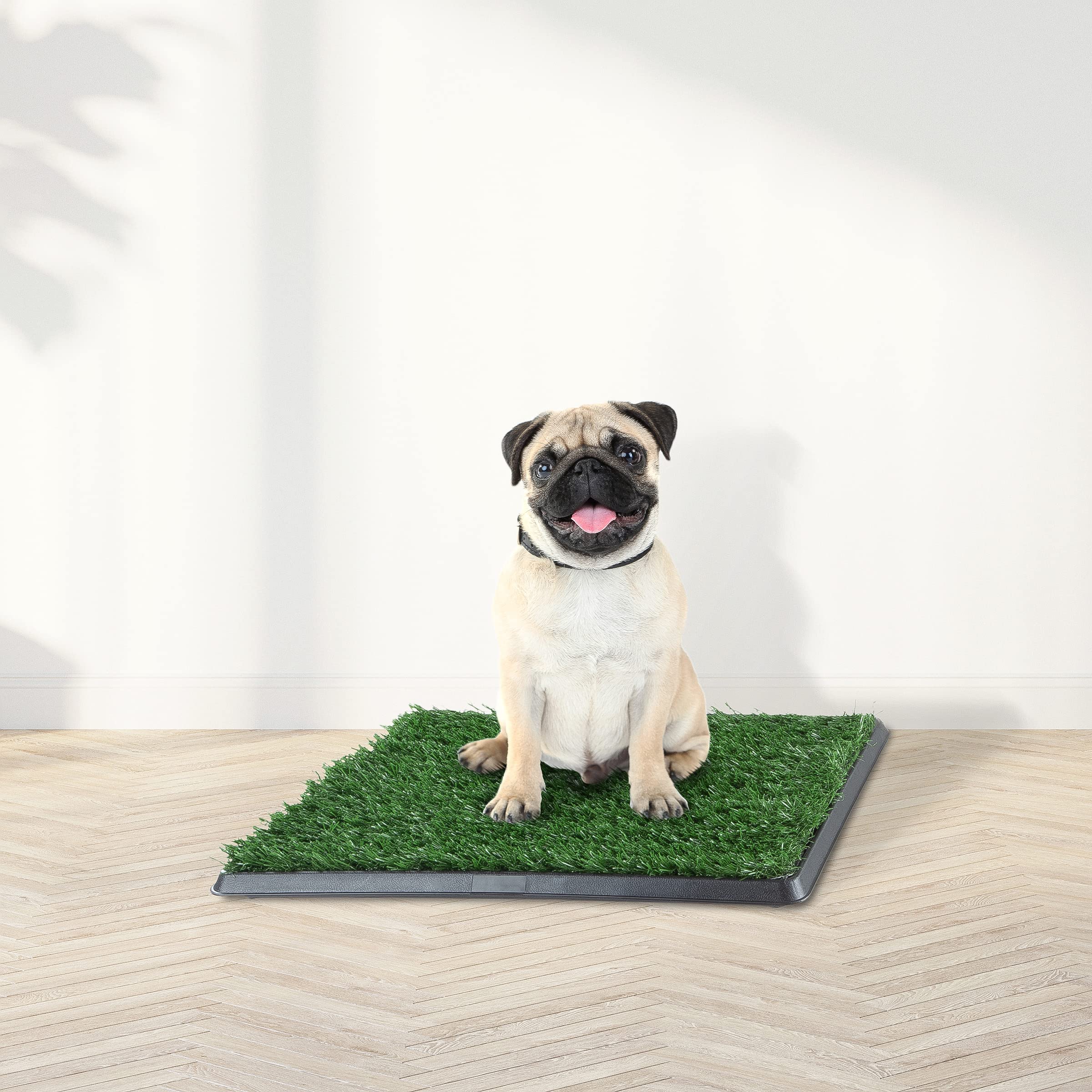 Artificial Grass Puppy Pee Pad For Dogs And Small Pets - 16X20 Reusable 4-Layer Training Potty Pad With Tray - Dog Housebreaking Supplies By Petmaker
