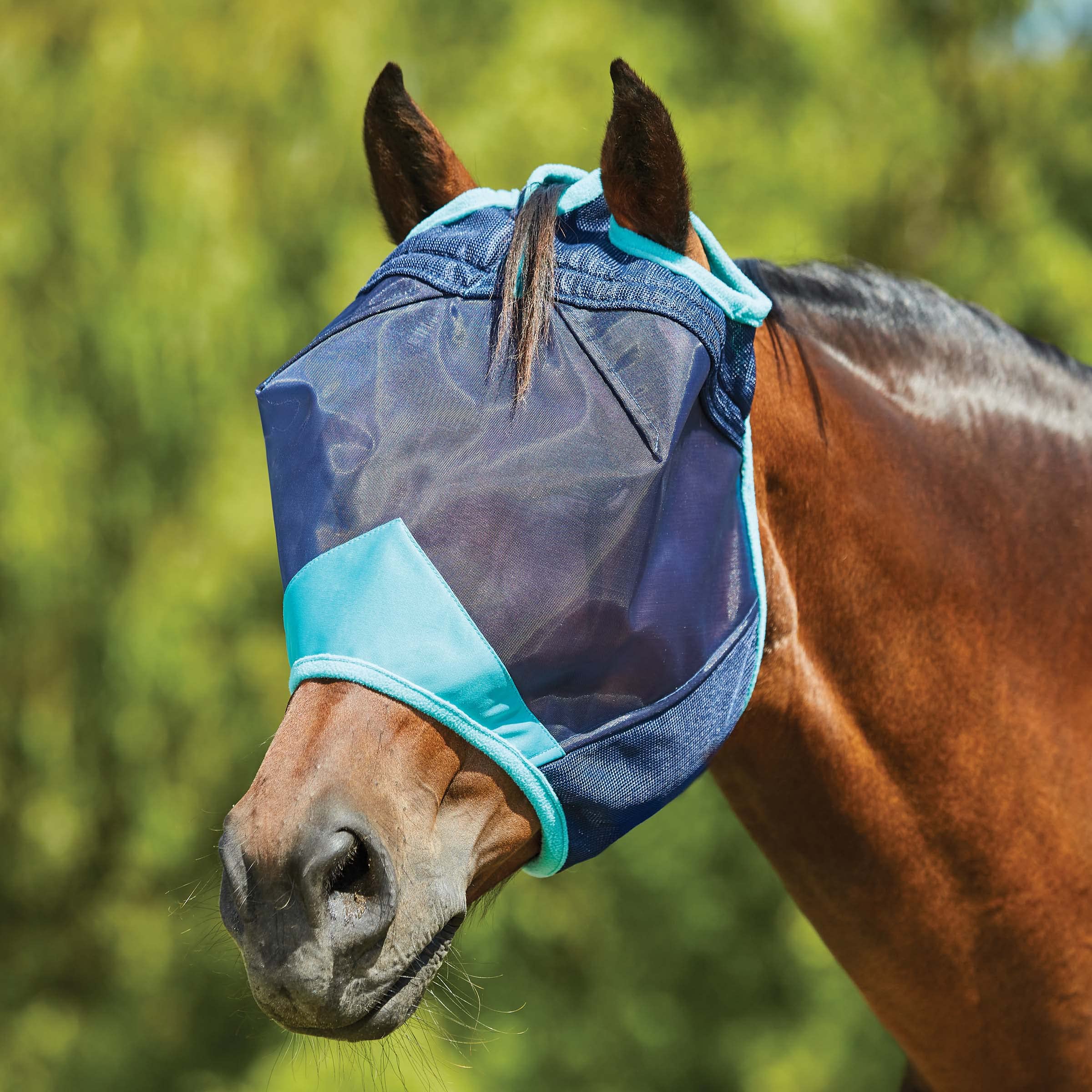 WeatherBeeta ComFiTec Deluxe Fine Mesh Mask, Navy/Turquoise, Small Pony