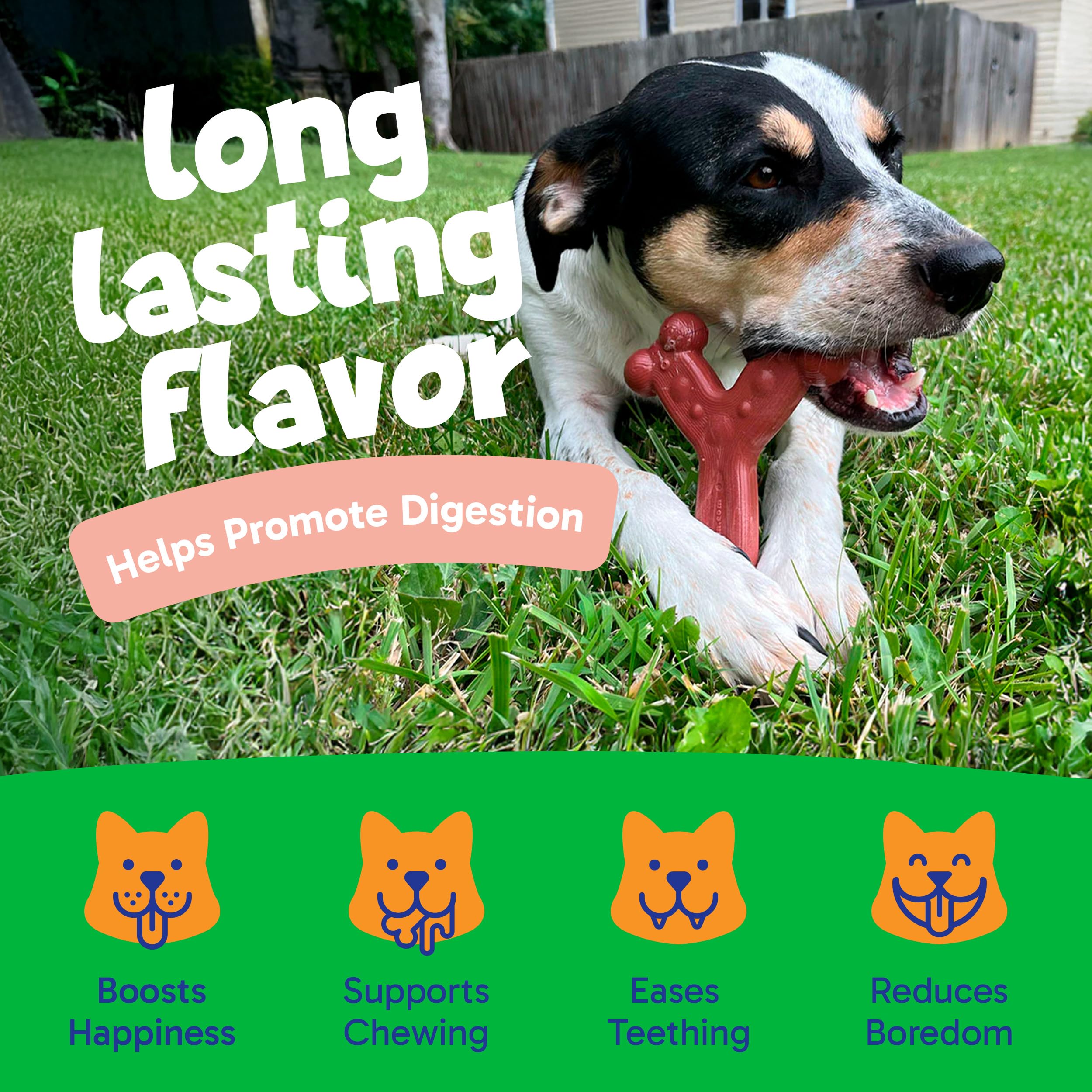 Chew'Ems Durable Chew Toys For Small Dogs | Long-Lasting & Flavorful Chew Dog Toys, Small Dog Breeds | Salmon-Flavored