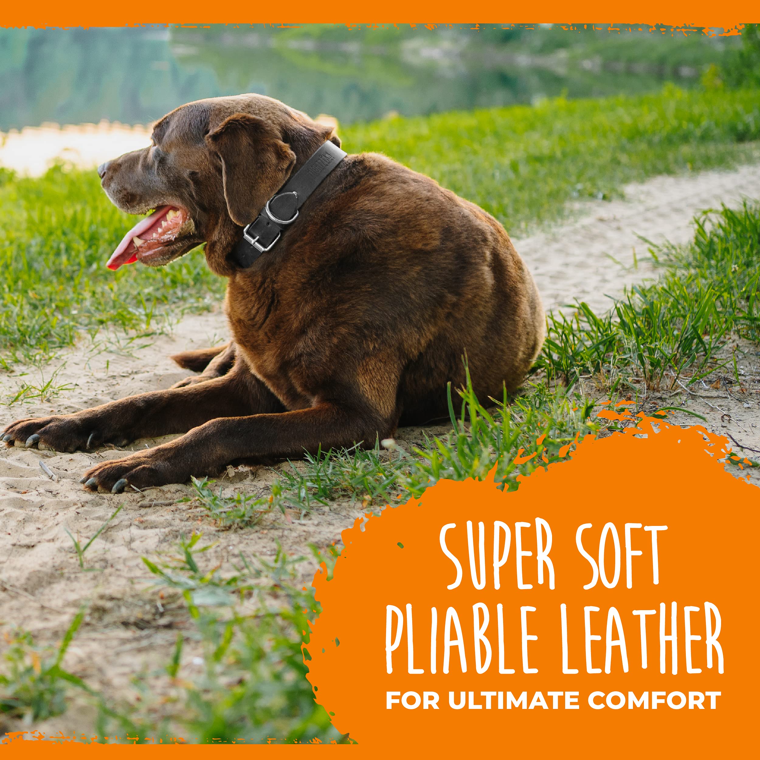 Mighty Paw Leather Dog Collar | Distressed Real Genuine Leather And A Strong Metal Buckle. Super Soft For Ultimate Comfort. Modern Designer Look For Small, Medium, Large And Xl Pets (Black)