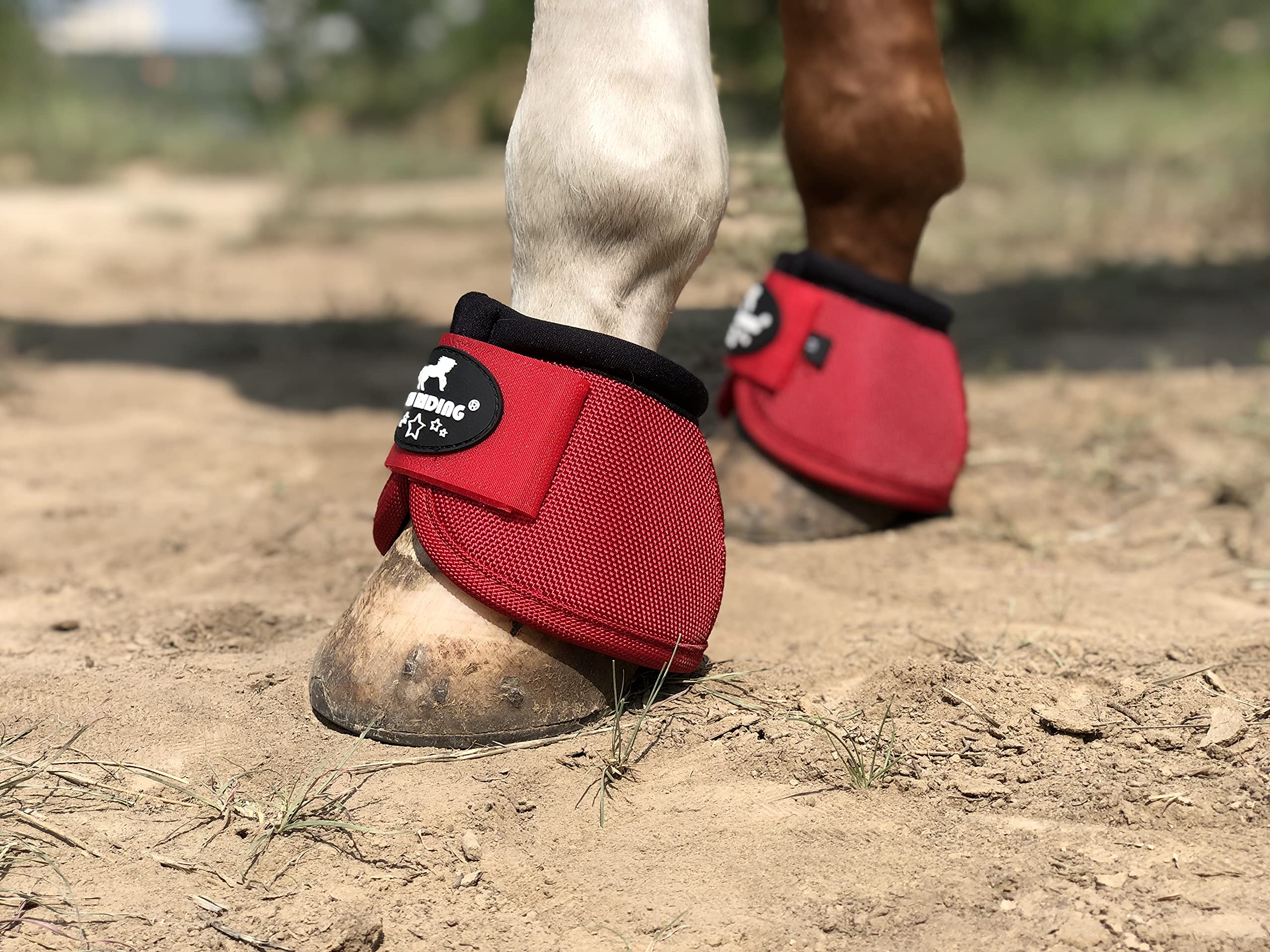 Tgw Riding 2520D Horse Bell Boots No-Turn Horse Bell Boots, Equine Ballistic Hoof Overreach Bell Boot, Pair (Red, M)