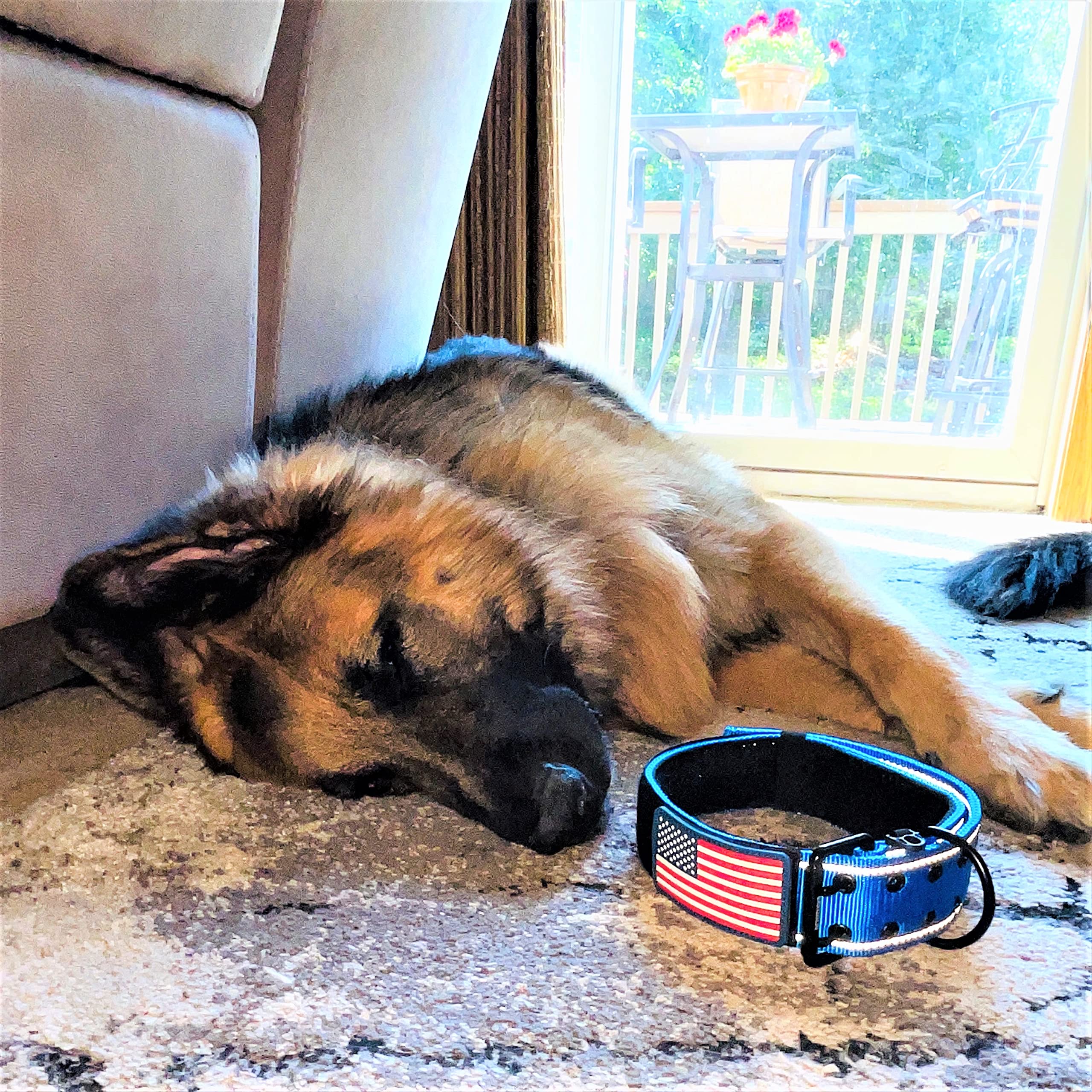 2' Personalized Tactical Dog Collar - Wide Thick Military Style With Strong Belt Buckle Closure - American Flag Patch - Reflective - Med And Xl Sizes For Large And Giant Dogs (20'-28', Blue)