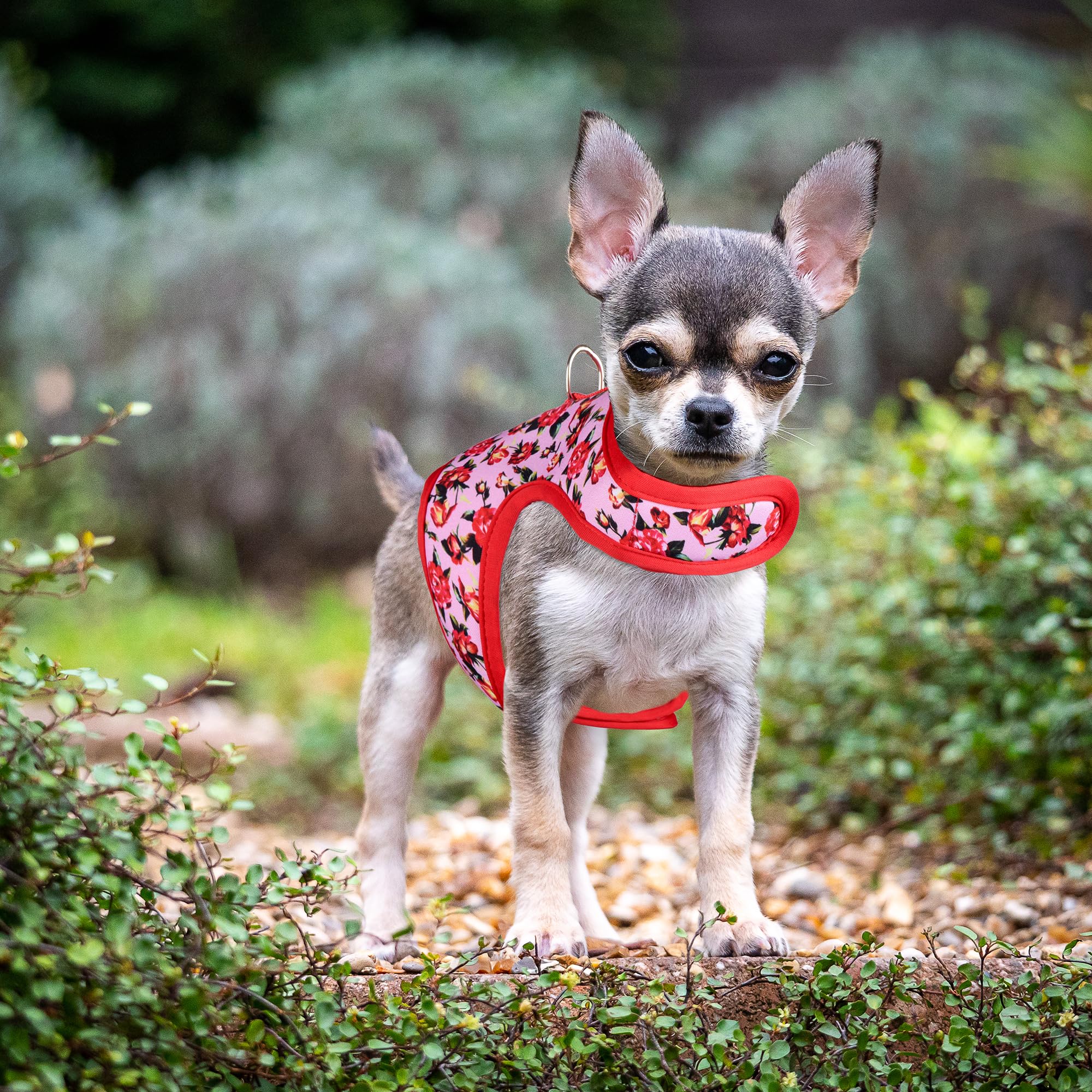 Mile High Life | Easy Get On Air Mesh Vest Harness | Spring Floral Collection | Adjustable Easy Closures Both Neck And Chest |20 Lbs Small Dogs & Cats | Peony Rose | Xs Chest Size (14'-16')