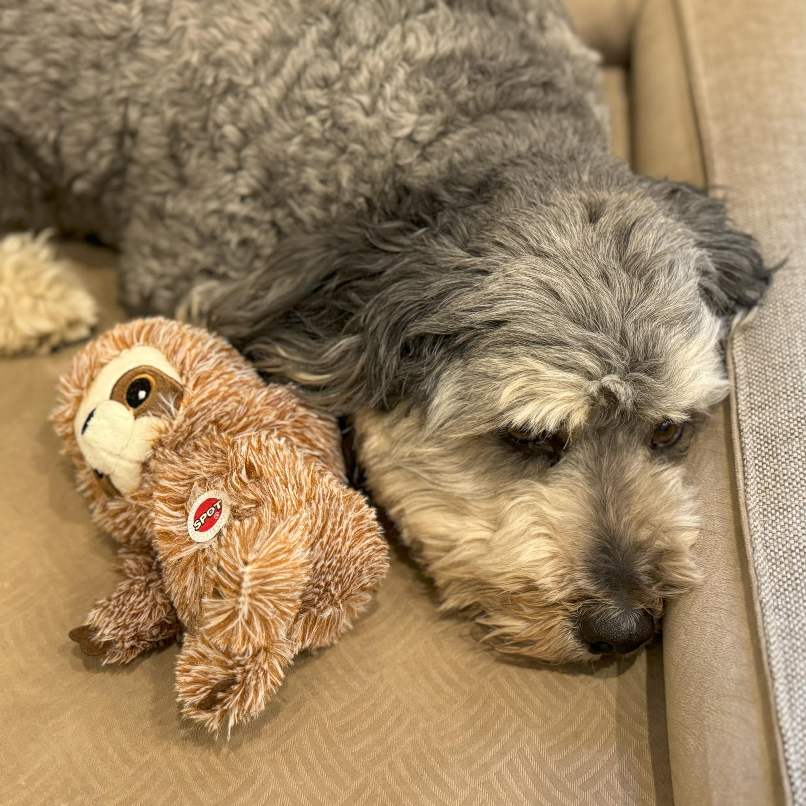 Spot Fun Sloth Dog Toy - Soft, Stuffed, Squeaky, Plush Fabric Toy For Mini And Small Dogs And Puppies, Enrichment For Light Chewers And Cuddlers, 7In