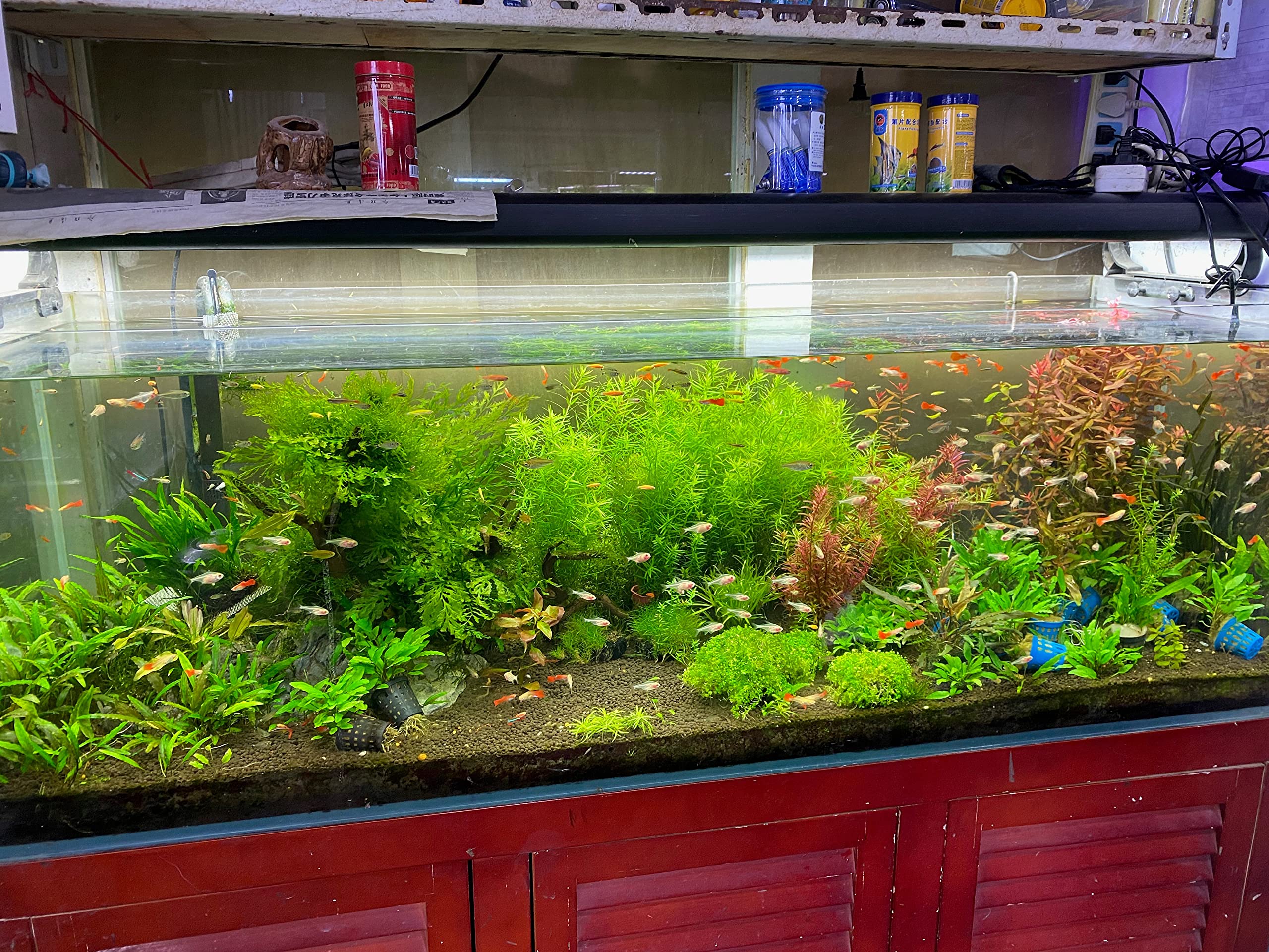LANDEN Aqua Soil Substrate for Natural Planted Aquarium, Plant or Shrimp Stratum, Clay Gravel and Stable Porous Substrate for Fr