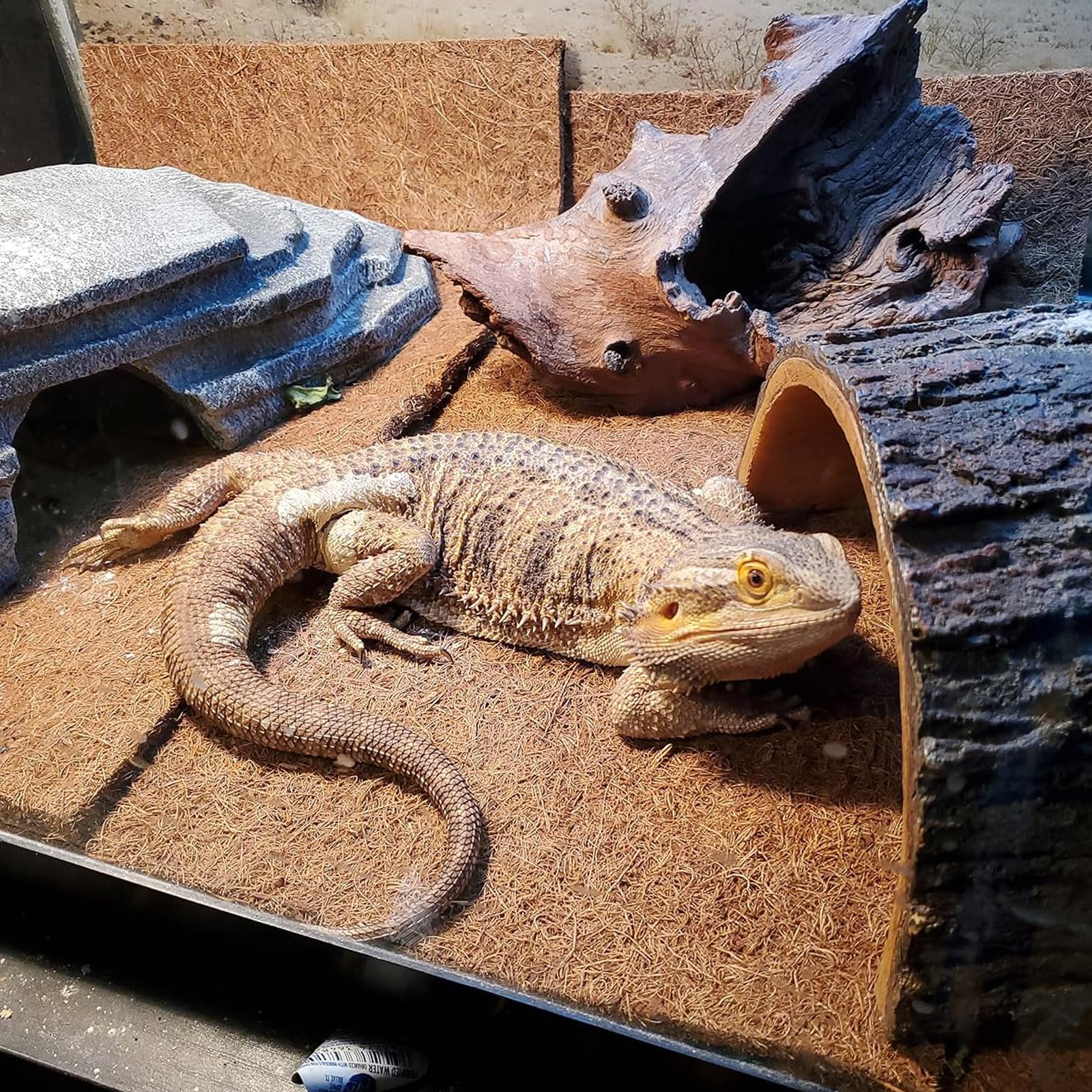 PINVNBY 2 Pcs Reptile Carpet Coconut Fiber Mat,Lizard Terrarium Substrate Liner Gecko Tank Flooring Bearded Dragon Tank Accessor