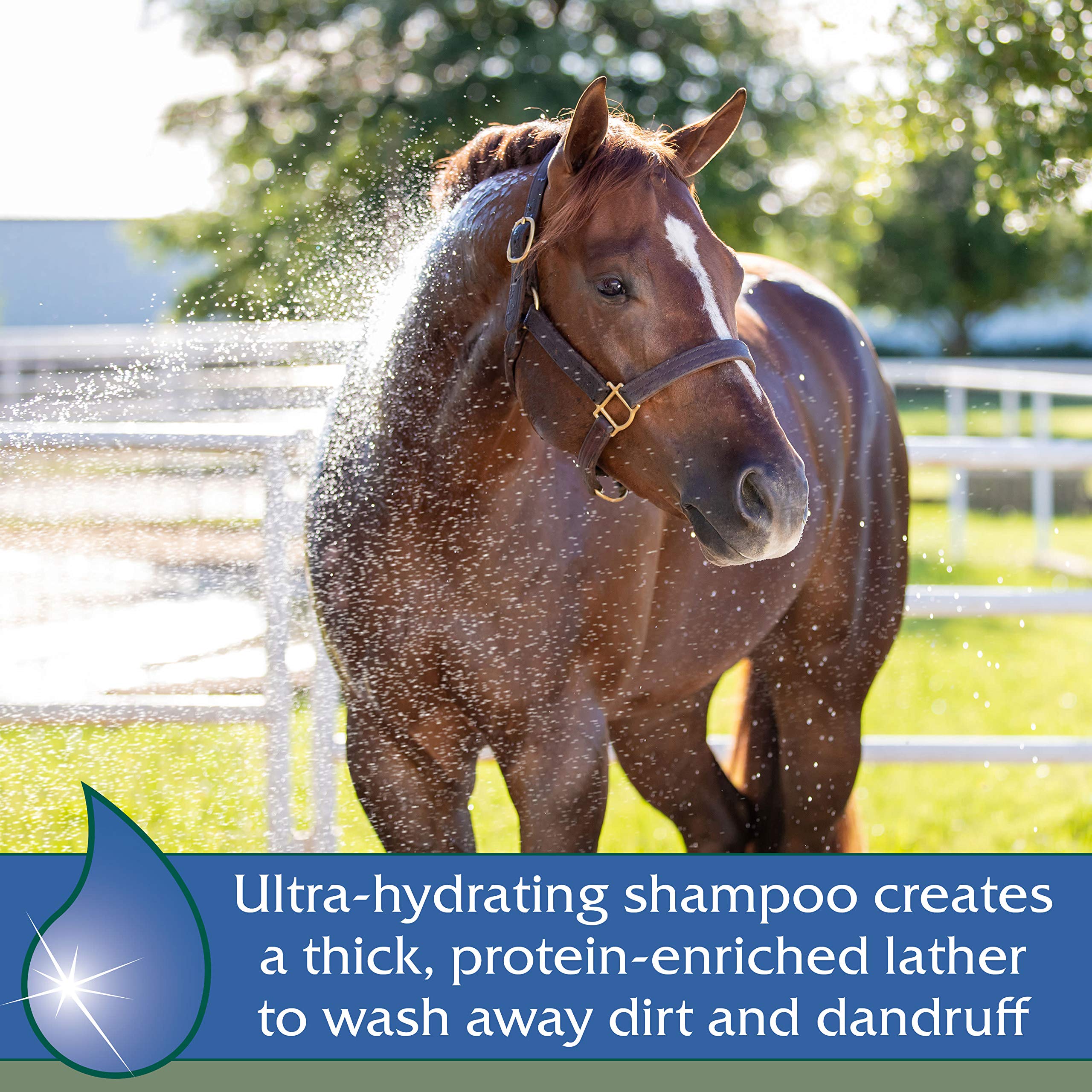 Farnam Vetrolin Bath Ultra-Hydrating Shampoo for Horses and Dogs, 64 Ounces