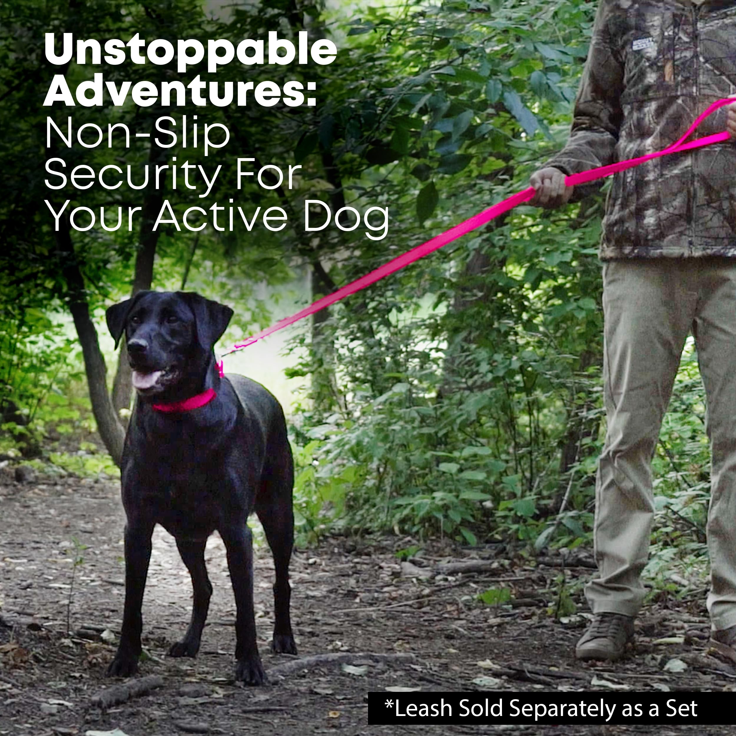 Regal Dog Products Large Pink Dog Collar With Heavy Duty Double Buckle & D Ring | Vinyl Coated, Custom Fit, Adjustable Biothane