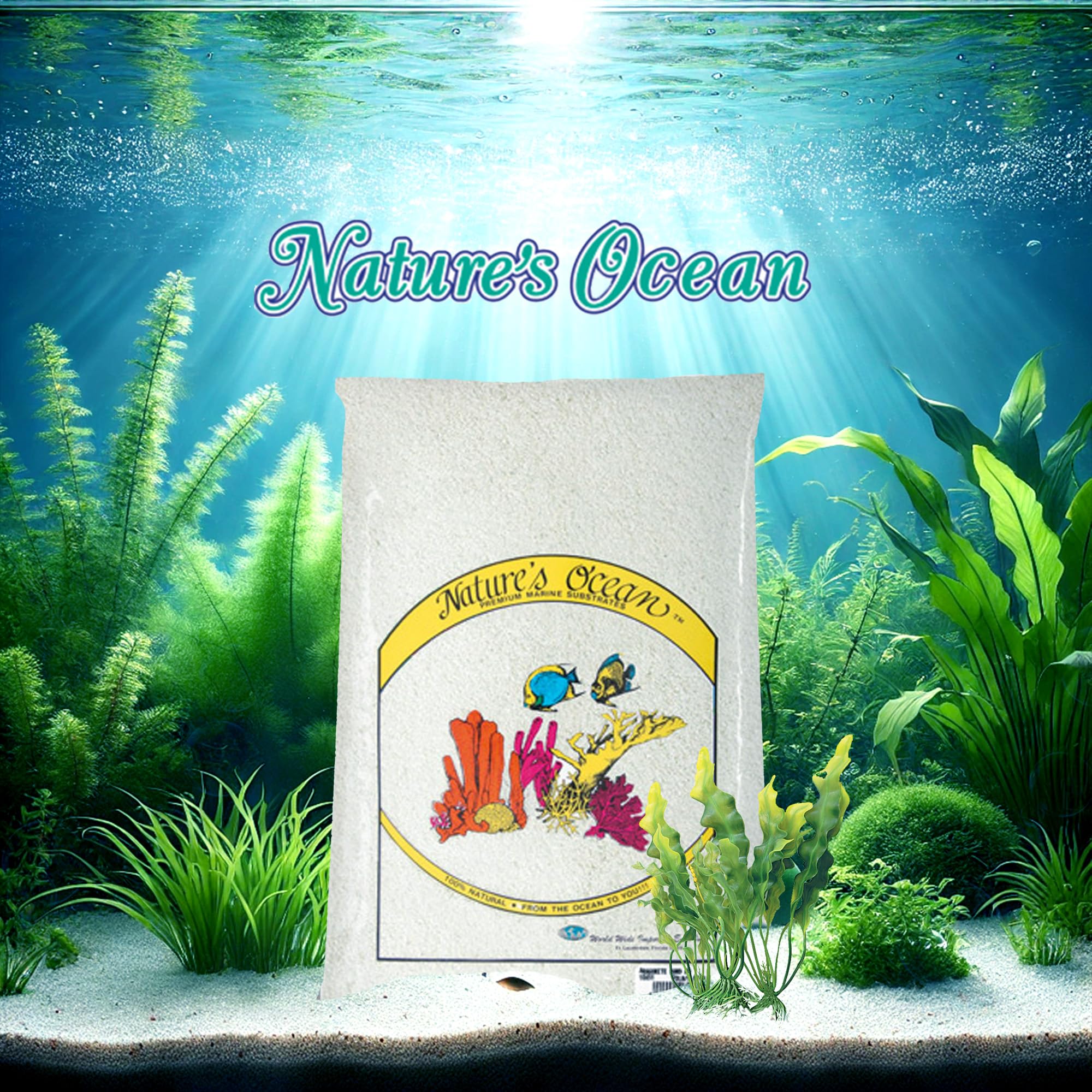 Natures Ocean Aragonite Sand Substrate - 20 lbs - Natural Marine Sand, Supports Water Balance & Ideal for Reef & Saltwater Tank