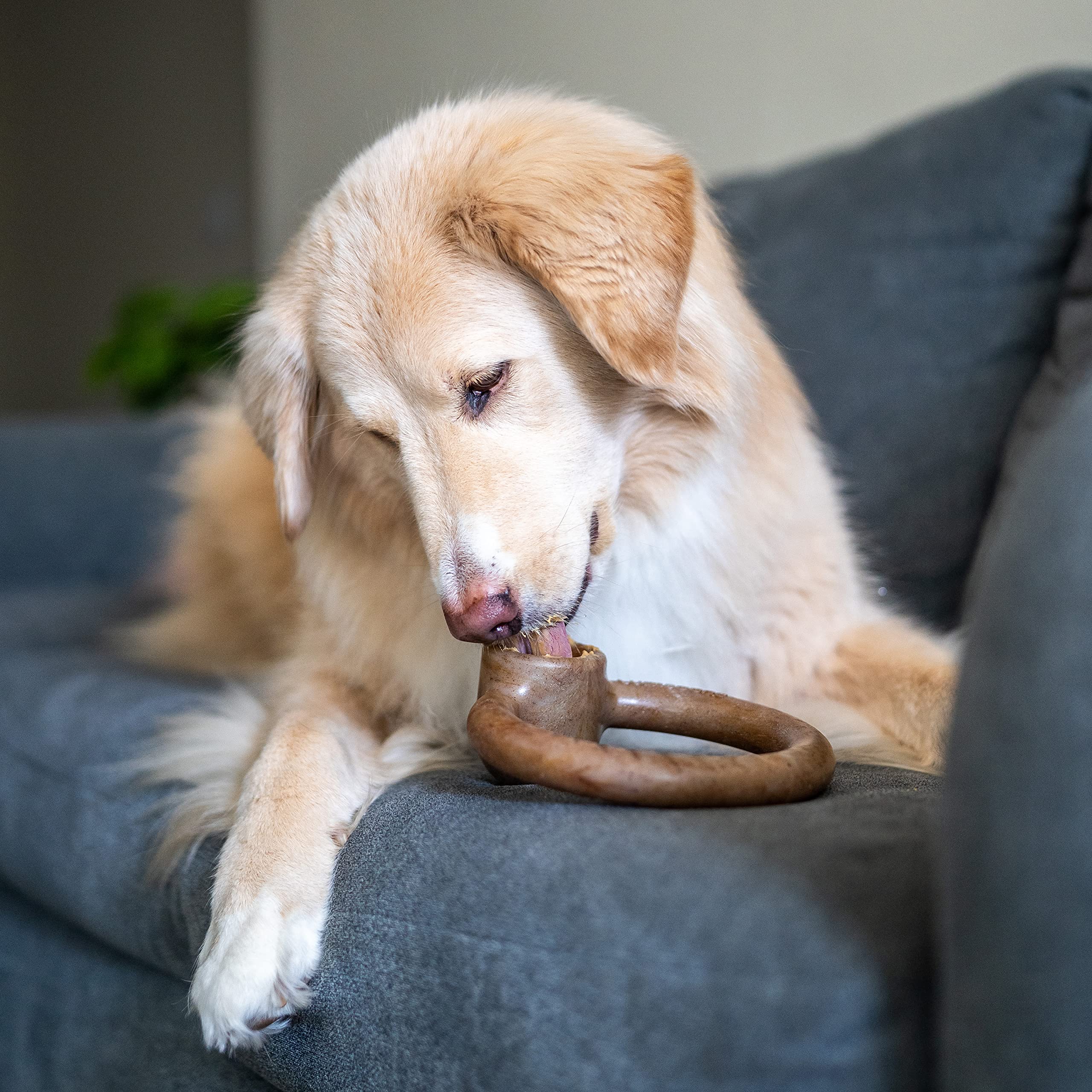 Lumabone Ring Stuffer Durable Chew Toy For Aggressive Chewers, Real Beef, Made In Usa, Large