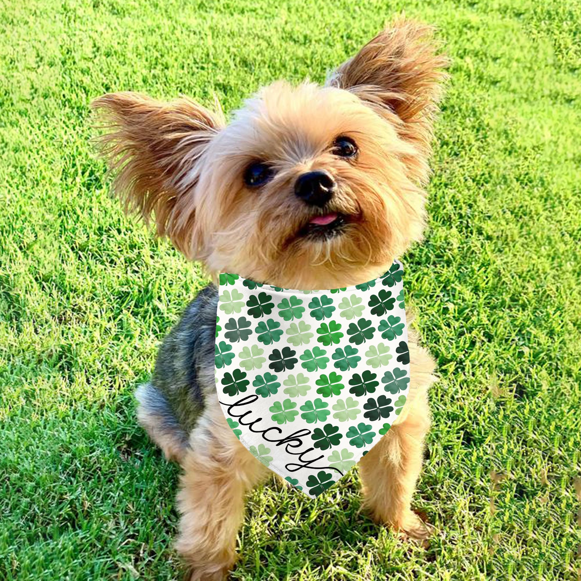 St. Patrick'S Day Dog Bandanas 2 Pack, Triangle Reversible Lucky Green Shamrock Pet Scarf For Boys And Girls, Premium Durable Fa