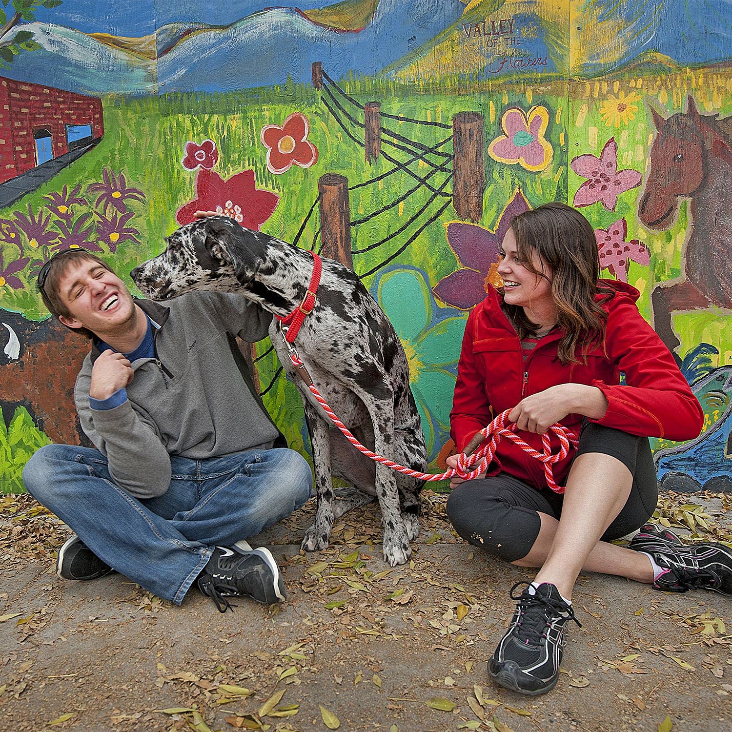 Mendota Pet Snap Leash - British-Style Braided Dog Lead, Made In The Usa - Sapphire, 1/2 In X 6 Ft - For Large Breeds