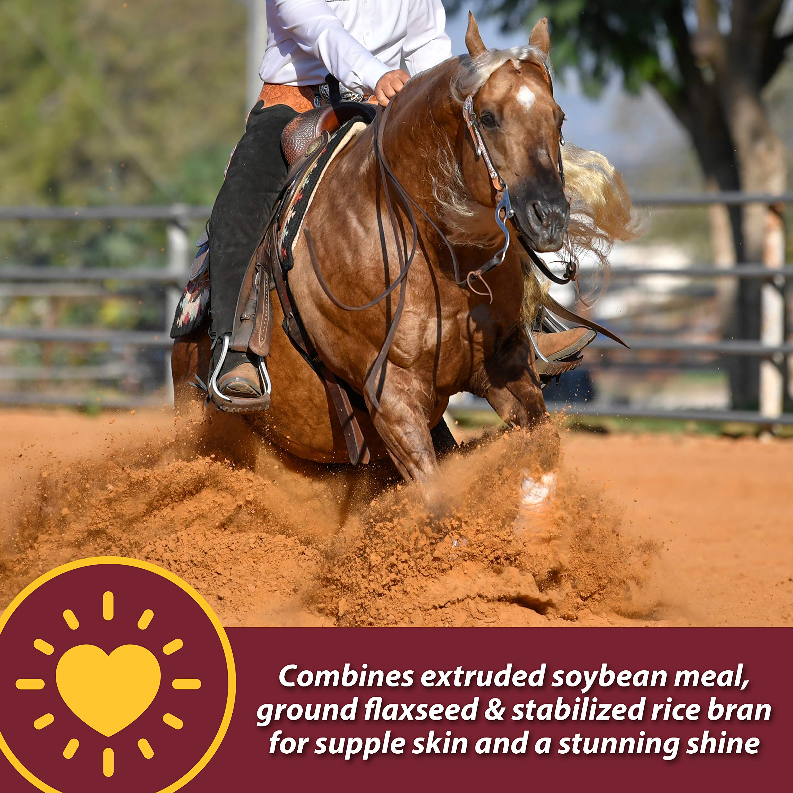 Farnam Laser Sheen Skin & Coat Supplement for Horses, Promotes Healthy Skin & Radiant Coat from The Inside Out, 3.75 Pounds 30 D