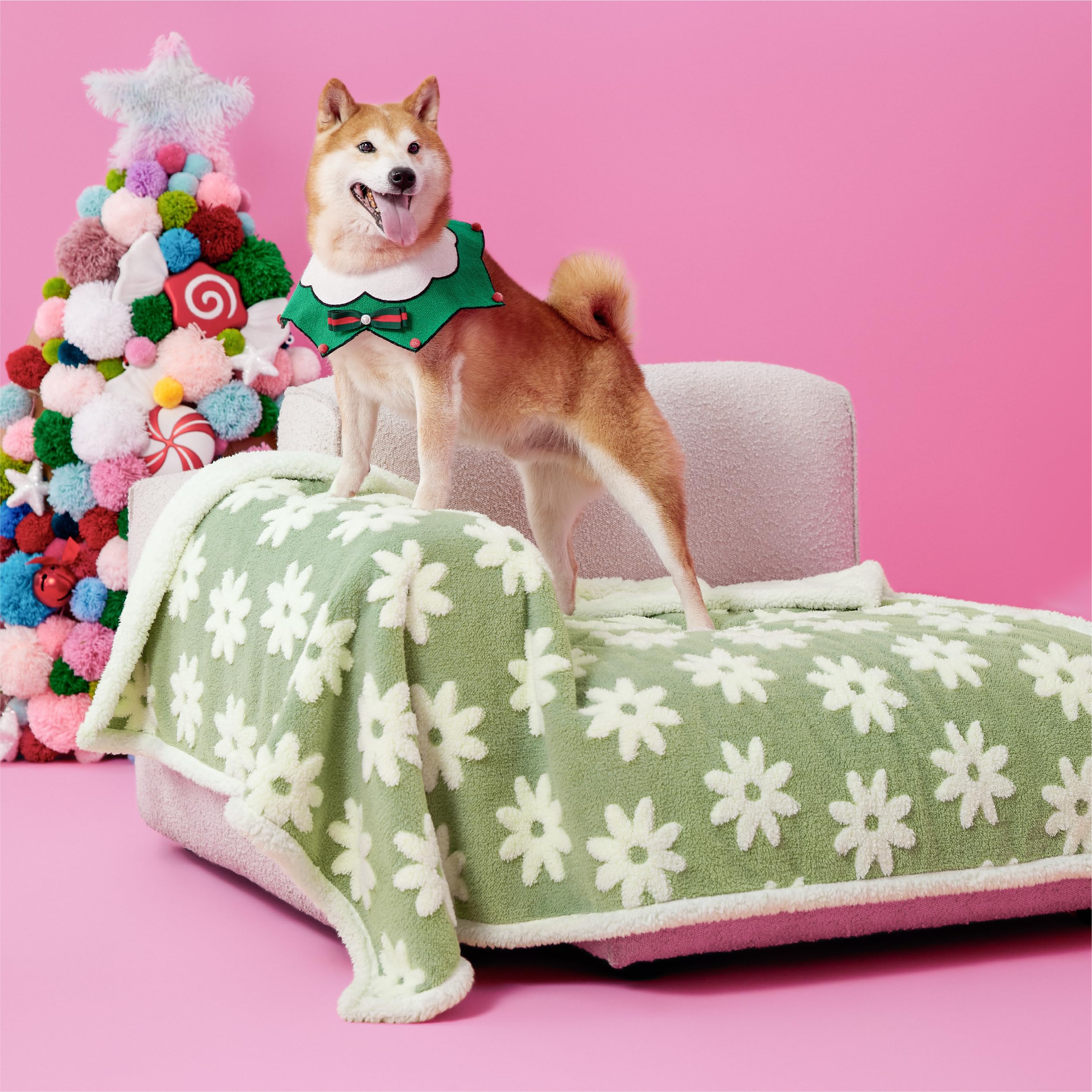 Lesure Waterproof Dog Blanket For Large Dogs - Washable Double Sided Dog Blankets With Warm Jacquard Shag And Soft Sherpa Fleece, Pet Cat Blanket For Couch Protection, 3D Textured Cloud, Green
