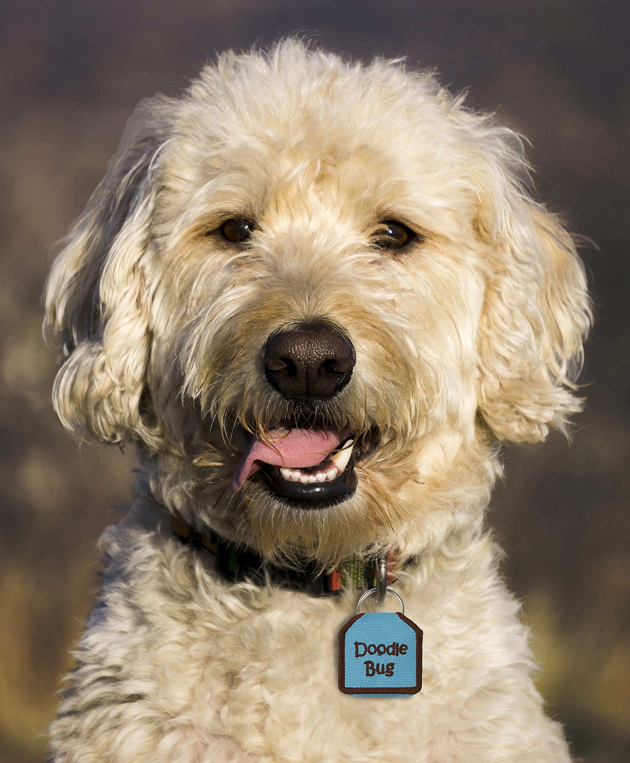 The Tag Bag - Dog Tag Silencer (Doodle Bug/Blue)