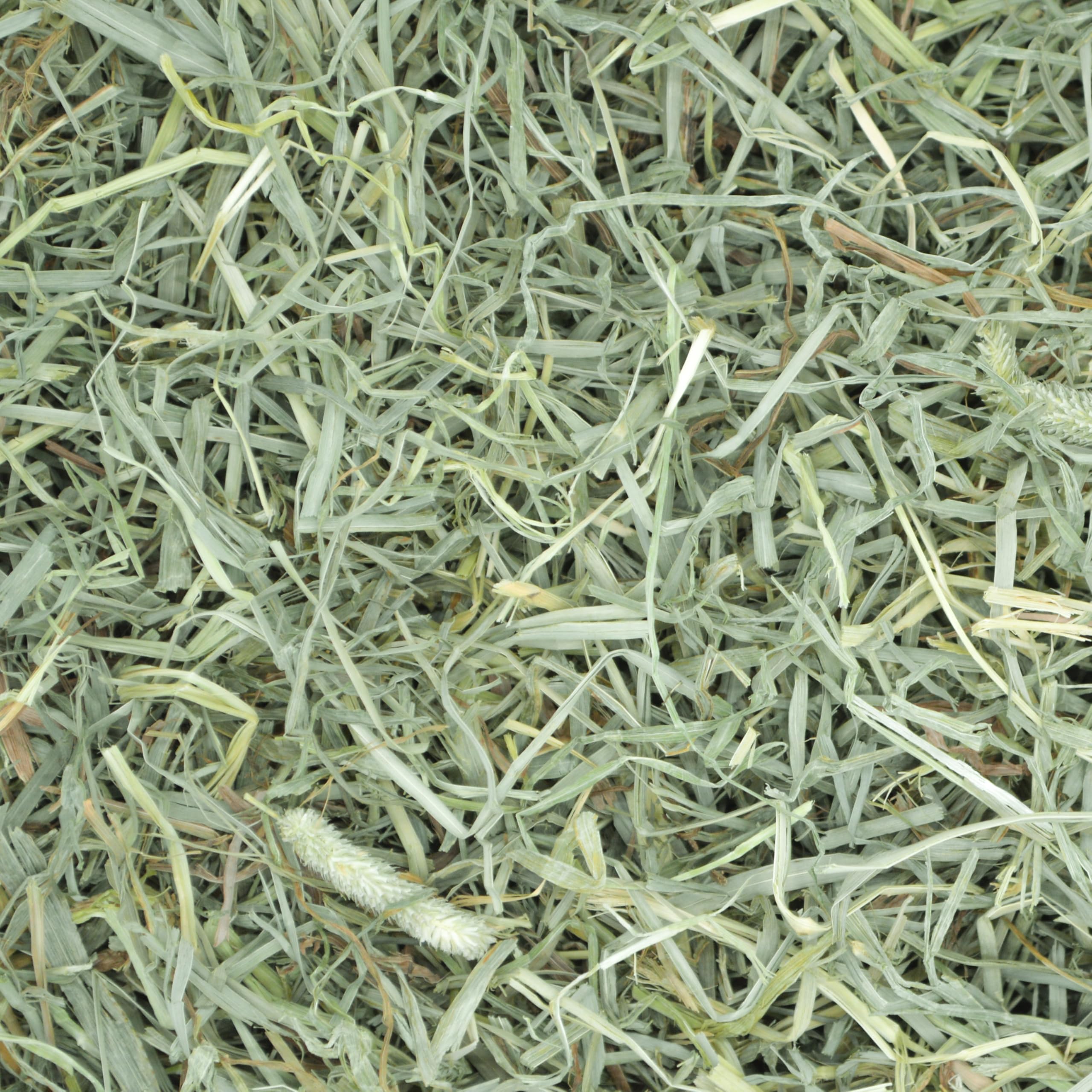 Oxbow Prime Cut Soft & Lush Timothy Hay, Premium Rabbit & Guinea Pig Hay, High Fiber Small Pet Food for Rabbits, Bunnies, Guinea