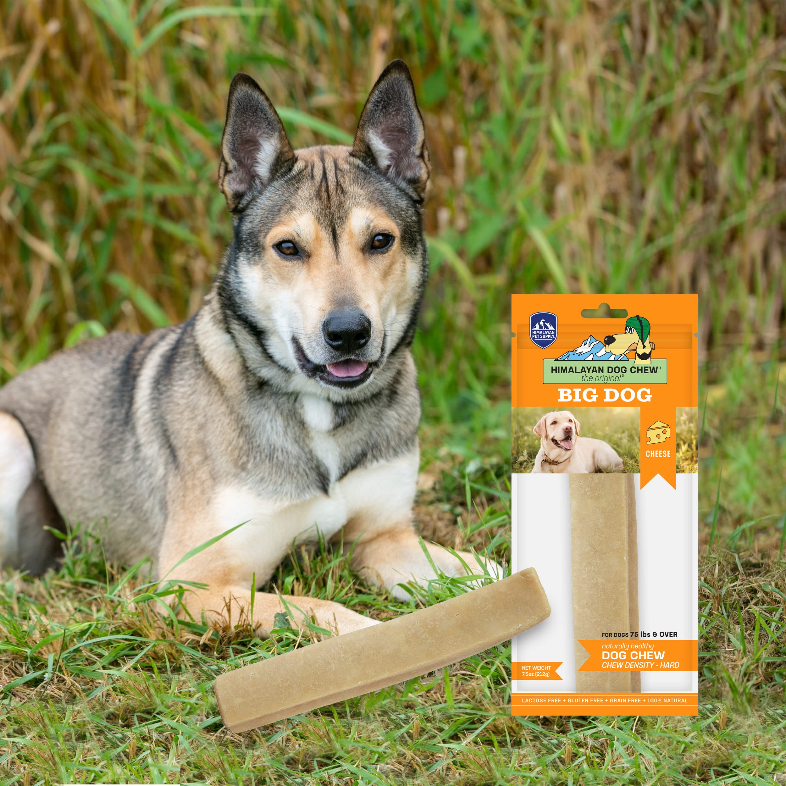 Himalayan Dog Chew Dogs Treat with Yak and Cow Milk
