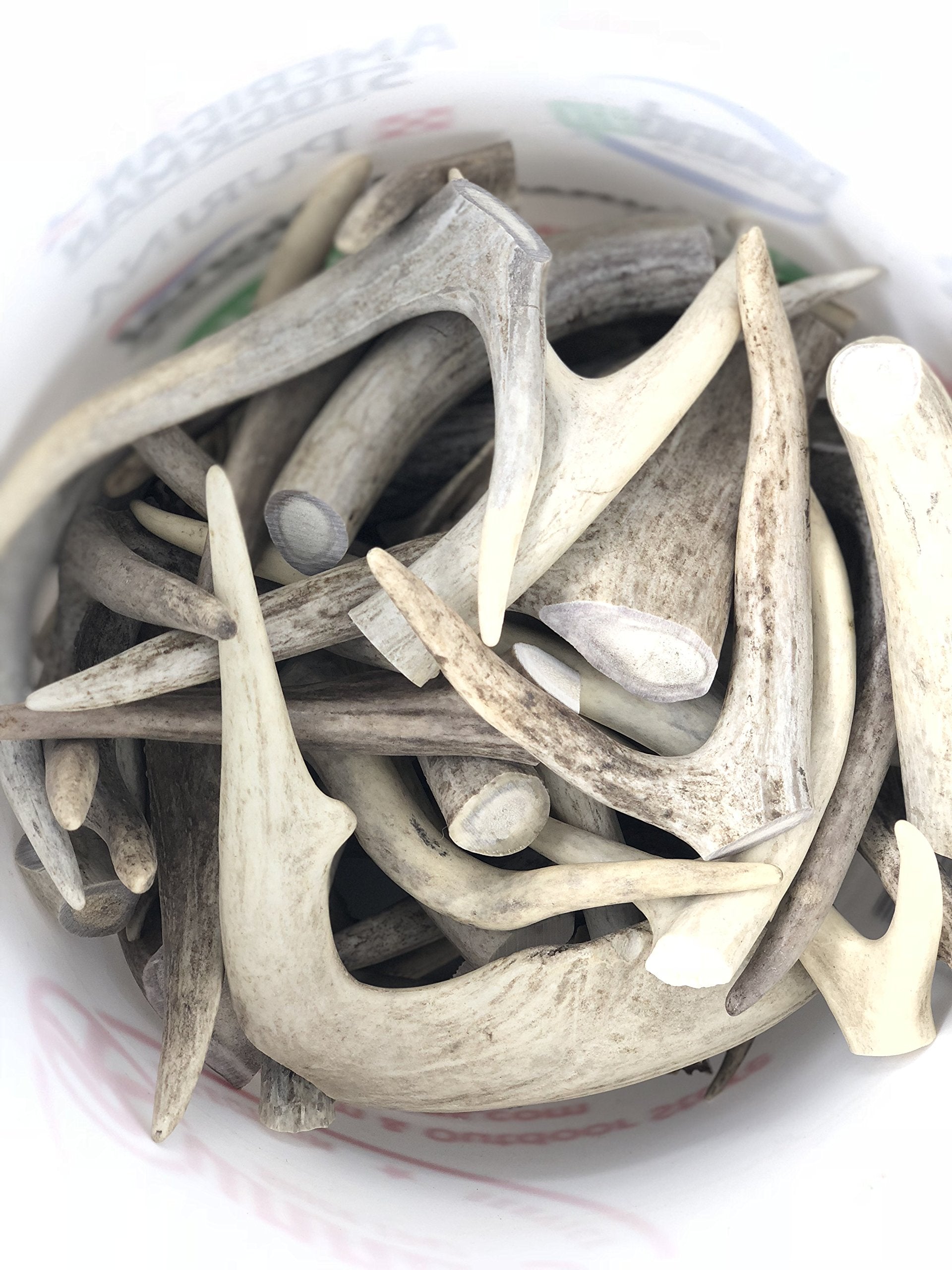 Natural Dakota Premium Deer Antler Dog Chew Toys (1 Lb Splits, Points, & Tines)