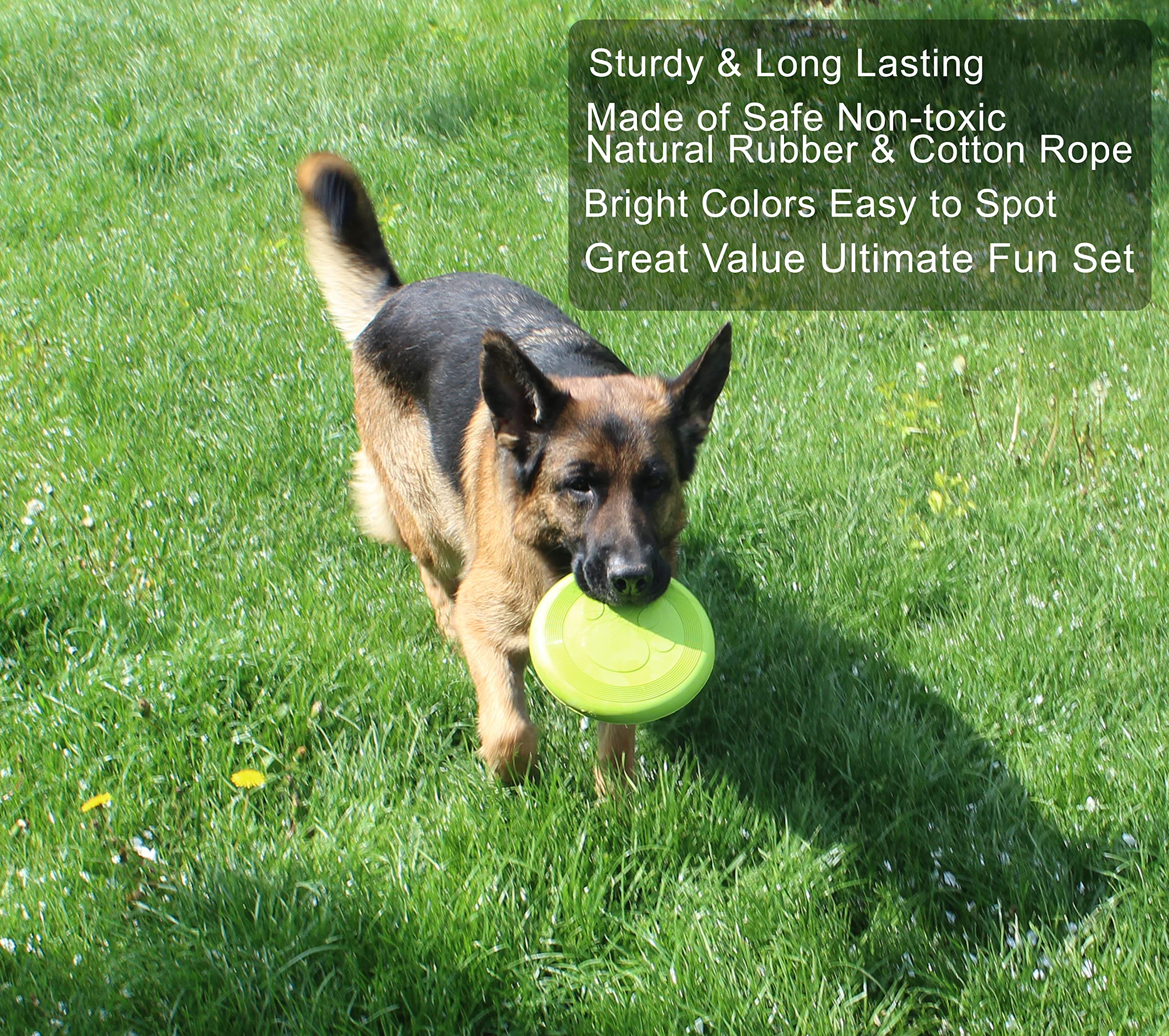 Jalousie Chew Toy Natural Rubber Chew Toy For Interactive Play Toy Ball Rope Rubber Value Set For Small To Medium Breed Dog Mutt Puppy