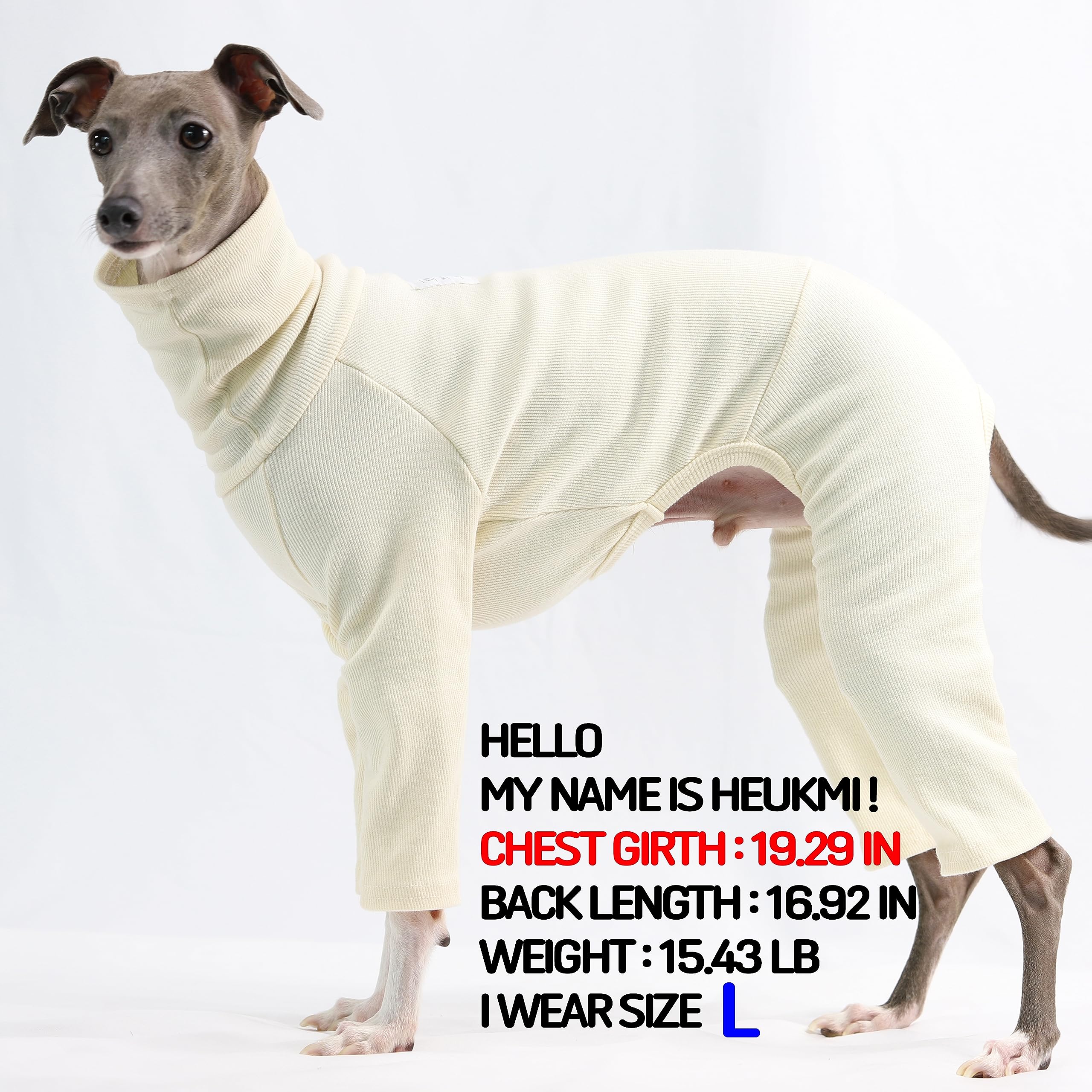 D Doggy Star Italian Greyhound Clothes Stretchable Onesie Whippet For Dog (S,Ribbed Ivory)