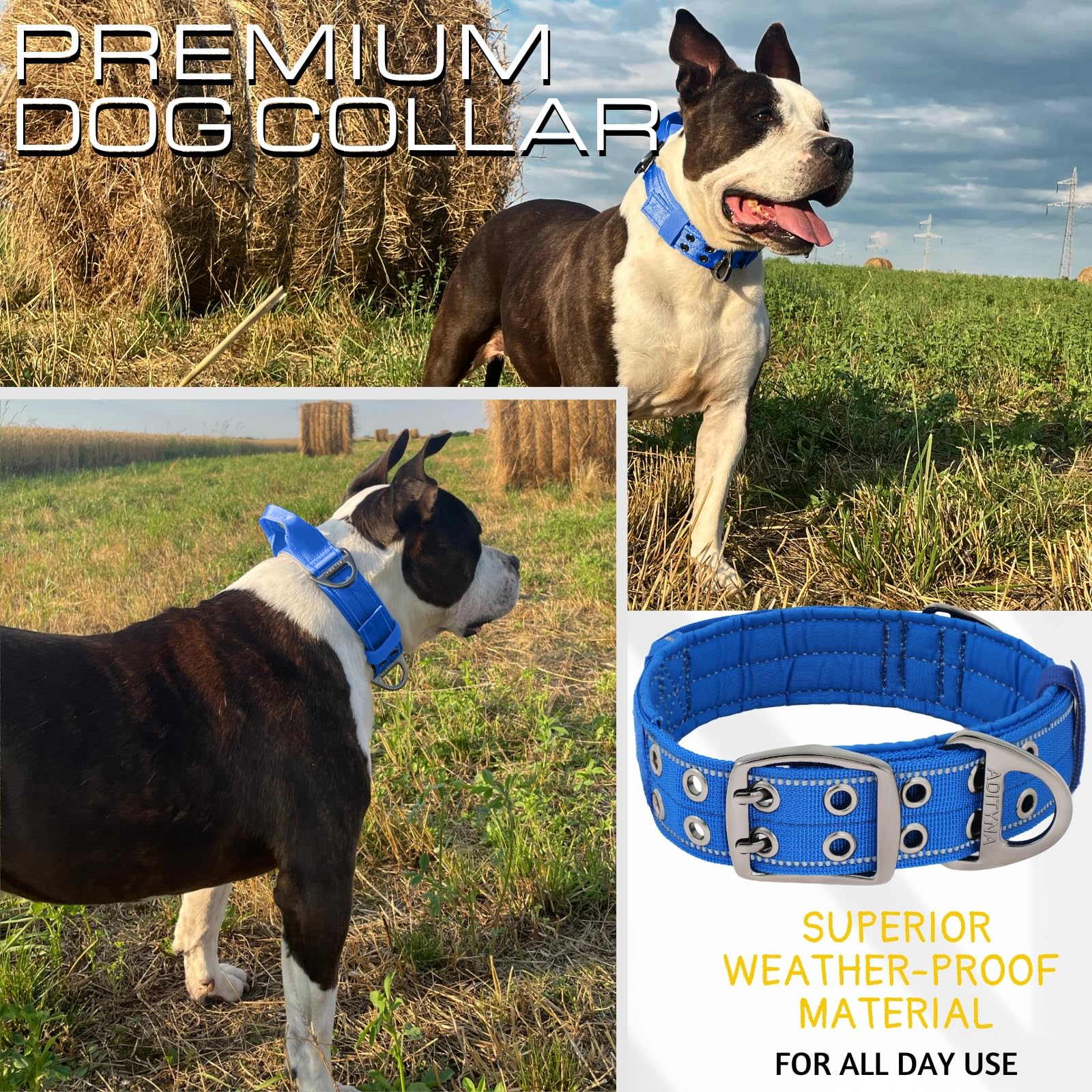 Adityna Heavy Duty Dog Collar For Large Dogs - Reflective Royal Blue Collar With Handle For Training, And Walking - Wide, Durabl