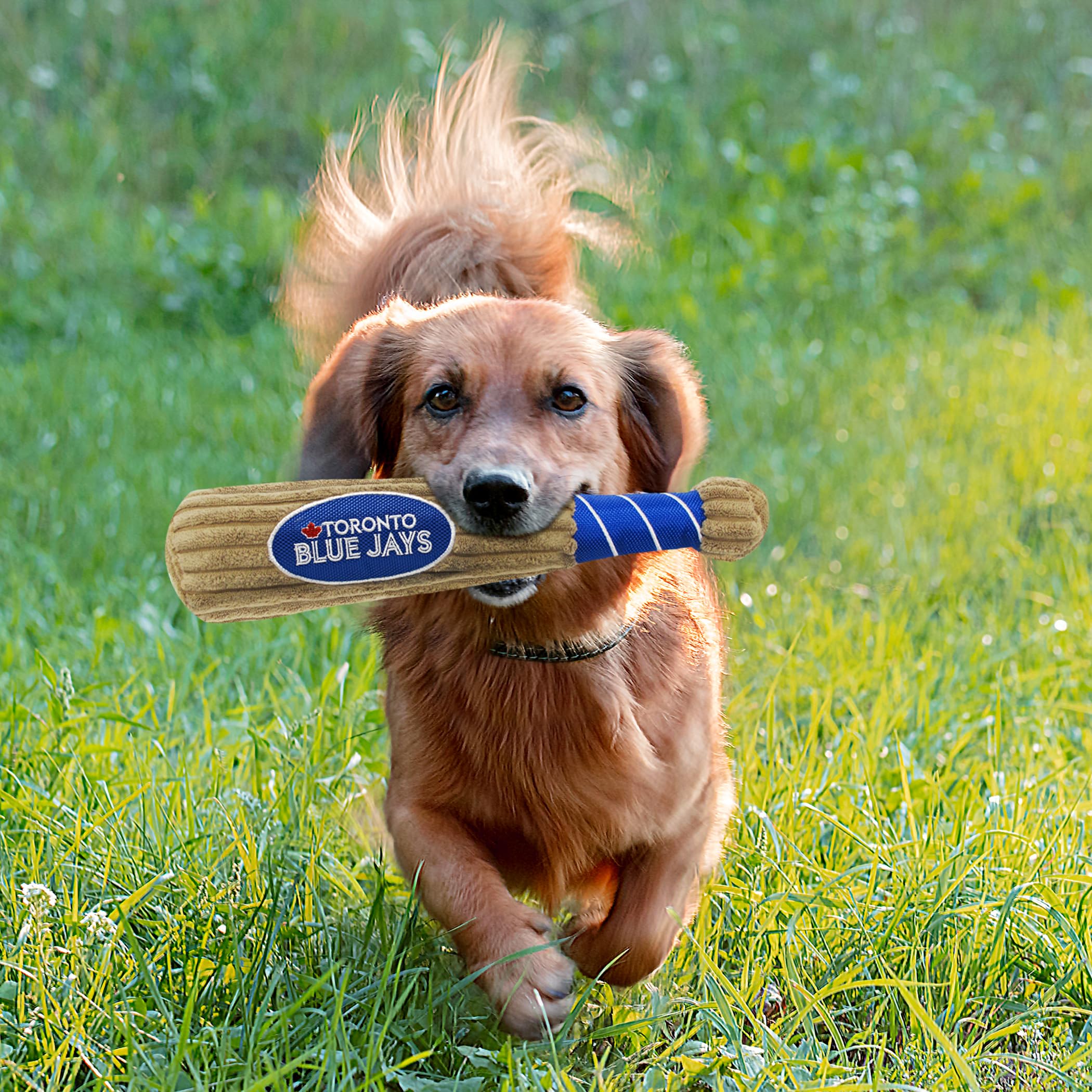 Mlb Toronto Blue Jays Baseball Bat Toy For Dogs & Cats. Soft Corduroy Plush Dog Toy With Inner Squeaker, Mlb Chew Toys For Dogs
