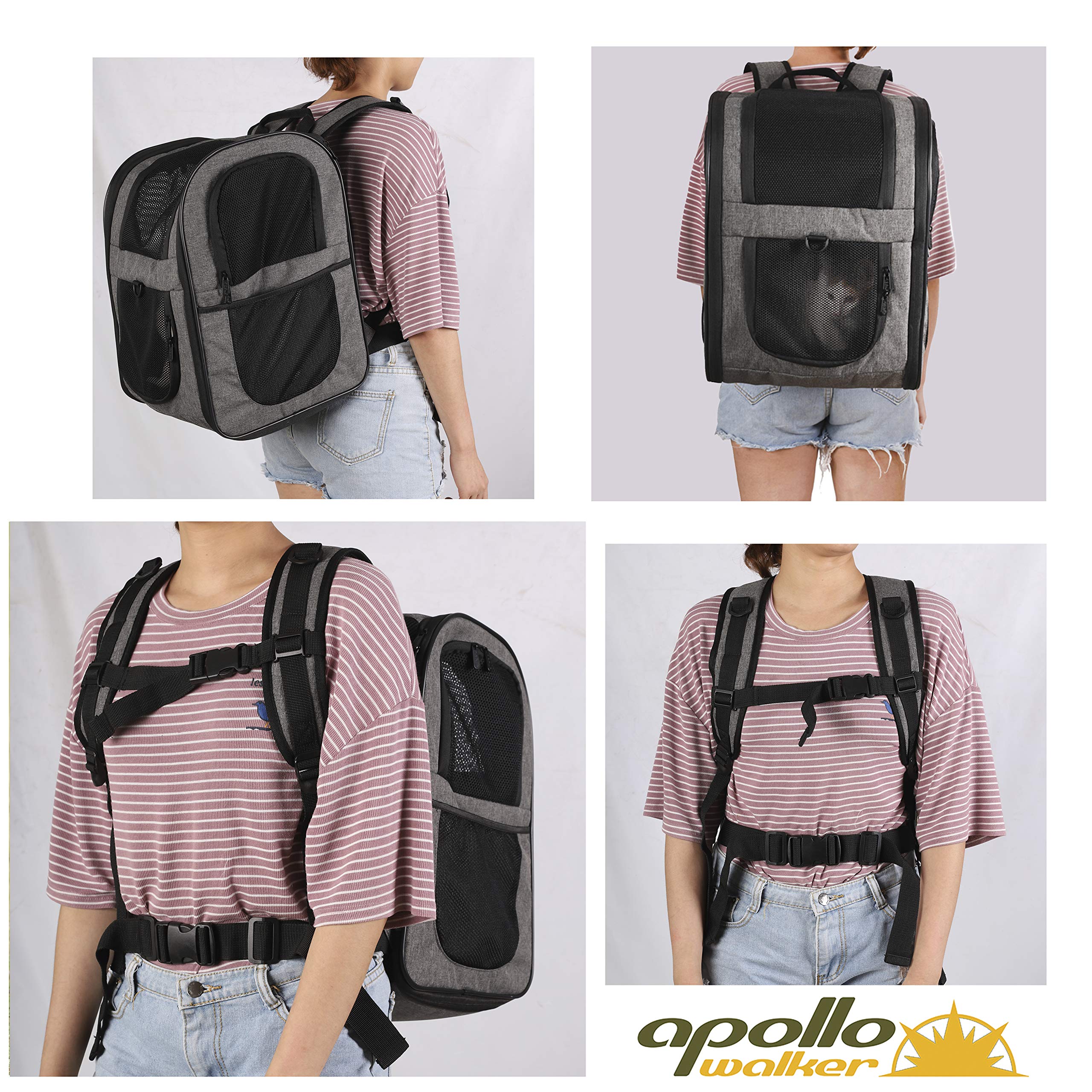 Apollo Walker Pet Carrier Backpack For Large/Small Cats And Dogs, Puppies, Safety Features And Cushion Back Support | For Travel