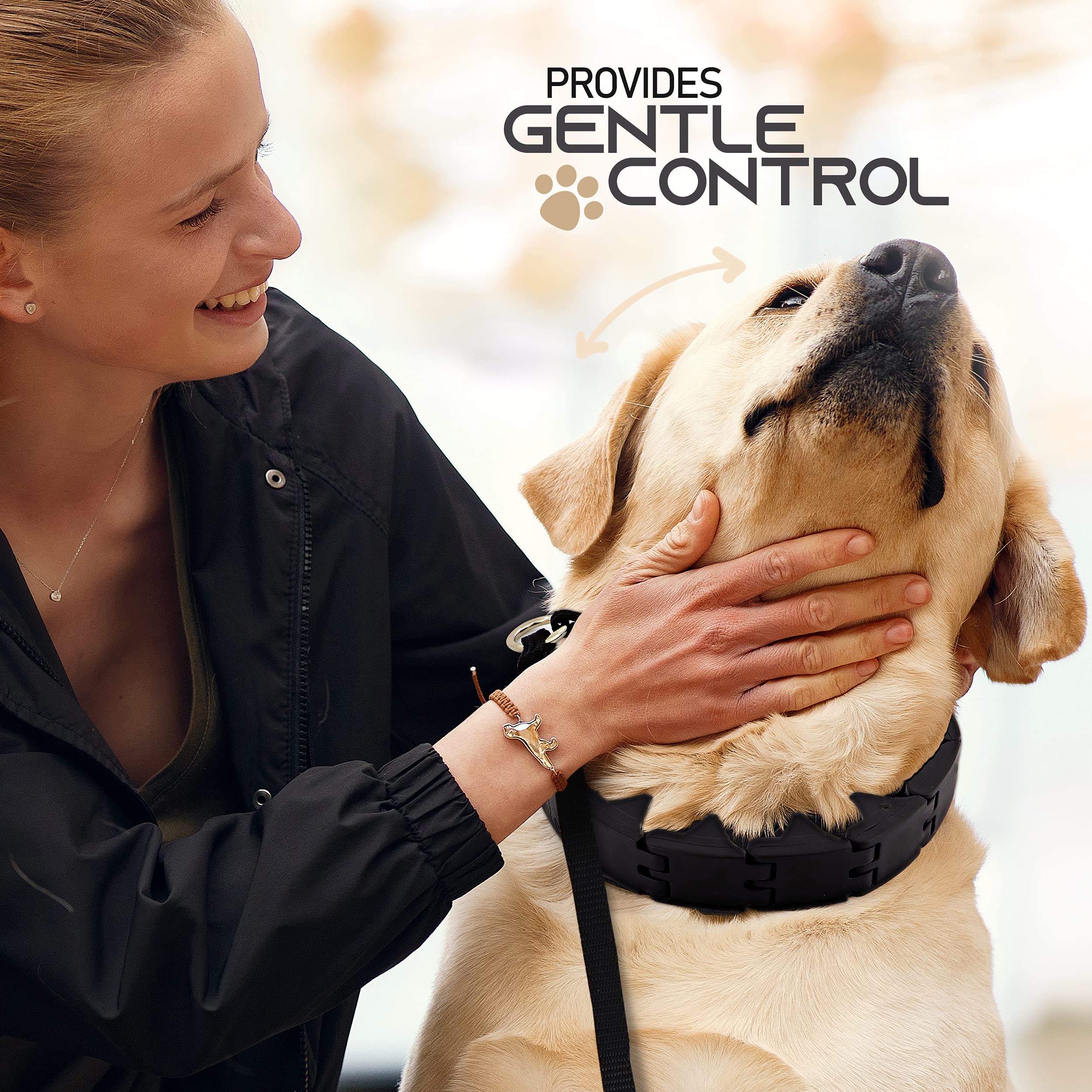 Ram-Pro Dog Training Pinch Collar Large Triple Crown Gentle Effective/No Barking Control For All Breeds