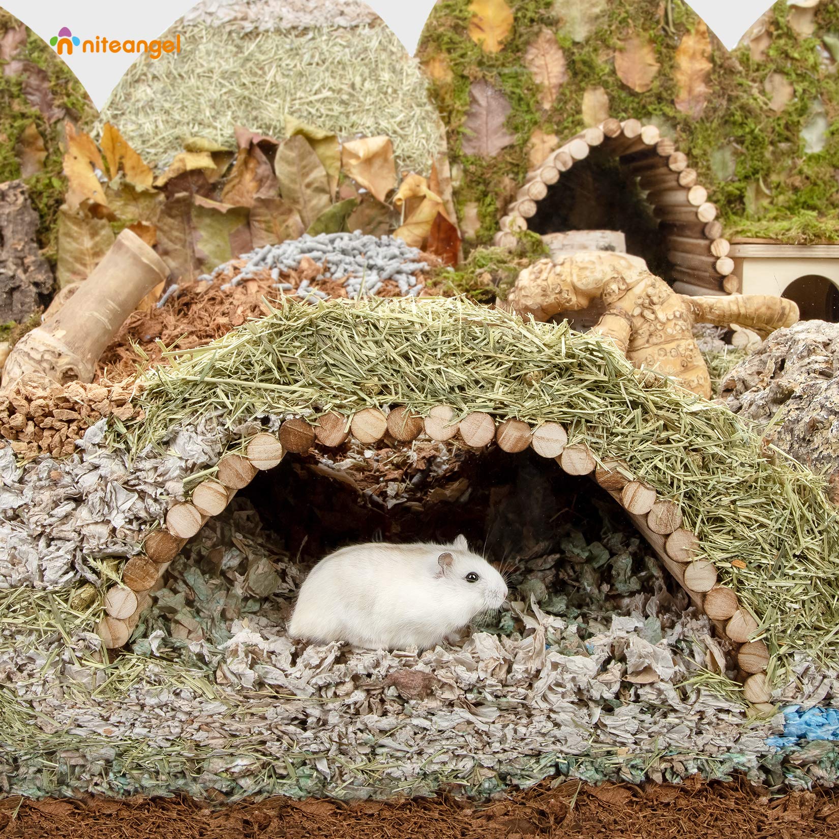 Niteangel Small Animal Climbing Toys - Suspension Bridge Ladder For Hamsters Gerbils Mice Rats Guinea Pigs Or Other Small Pets (15.7'' X 7.8'')