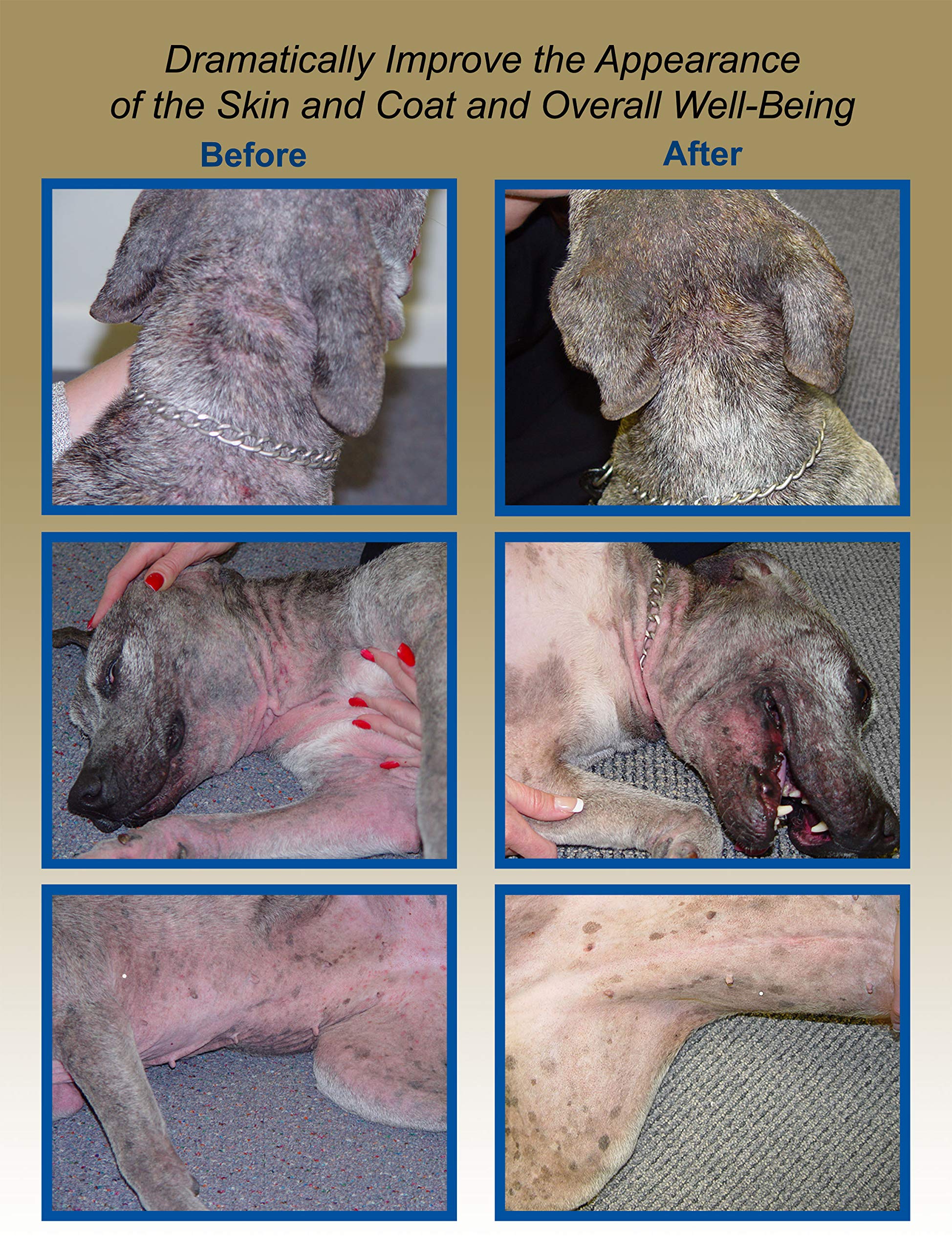 Davis TheraCoat for Pets