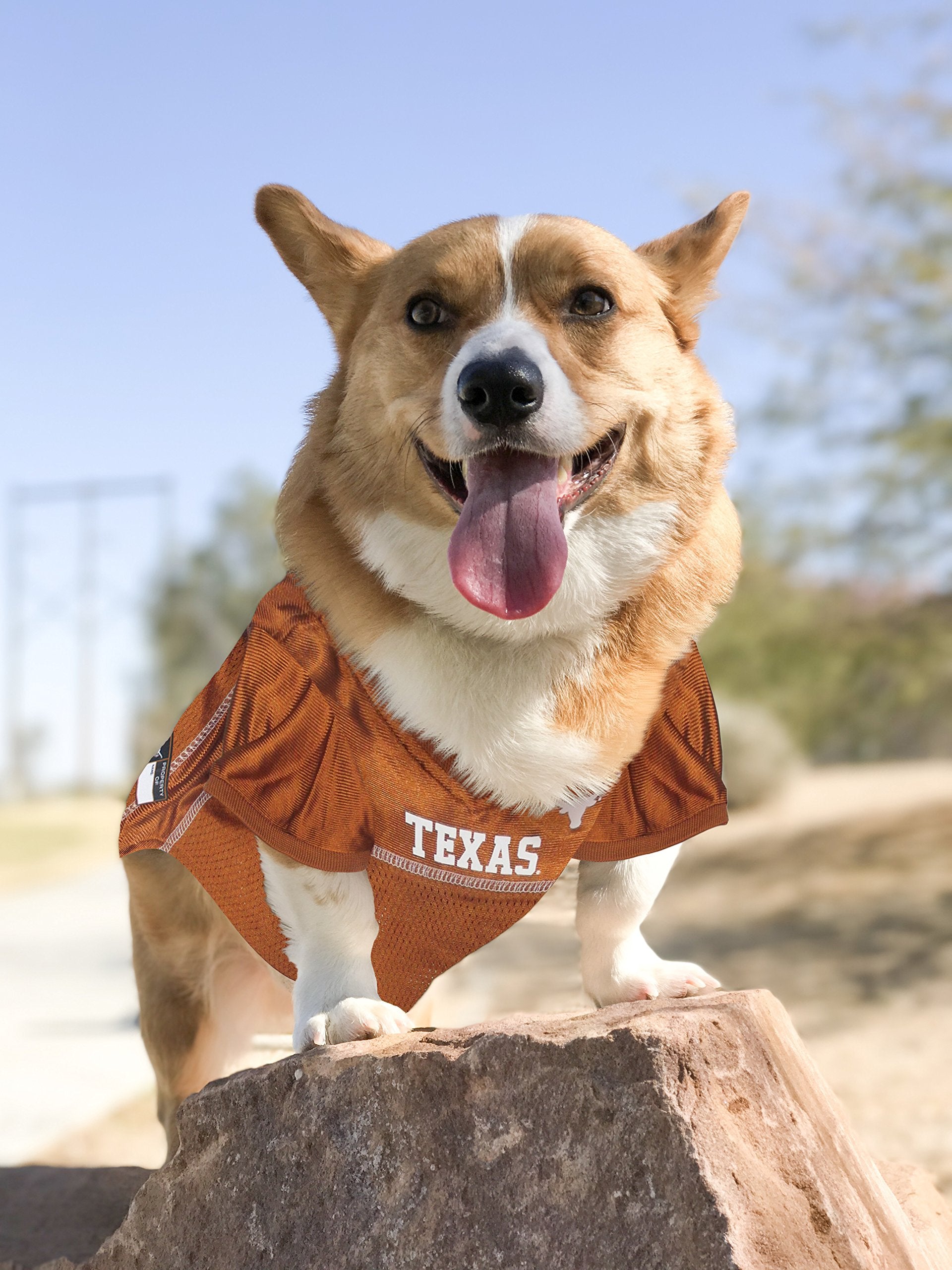 Pets First NCAA College Texas Longhorns Mesh Jersey for DOGS & CATS, Size Medium, Licensed Dog Jersey with your Favorite Footbal