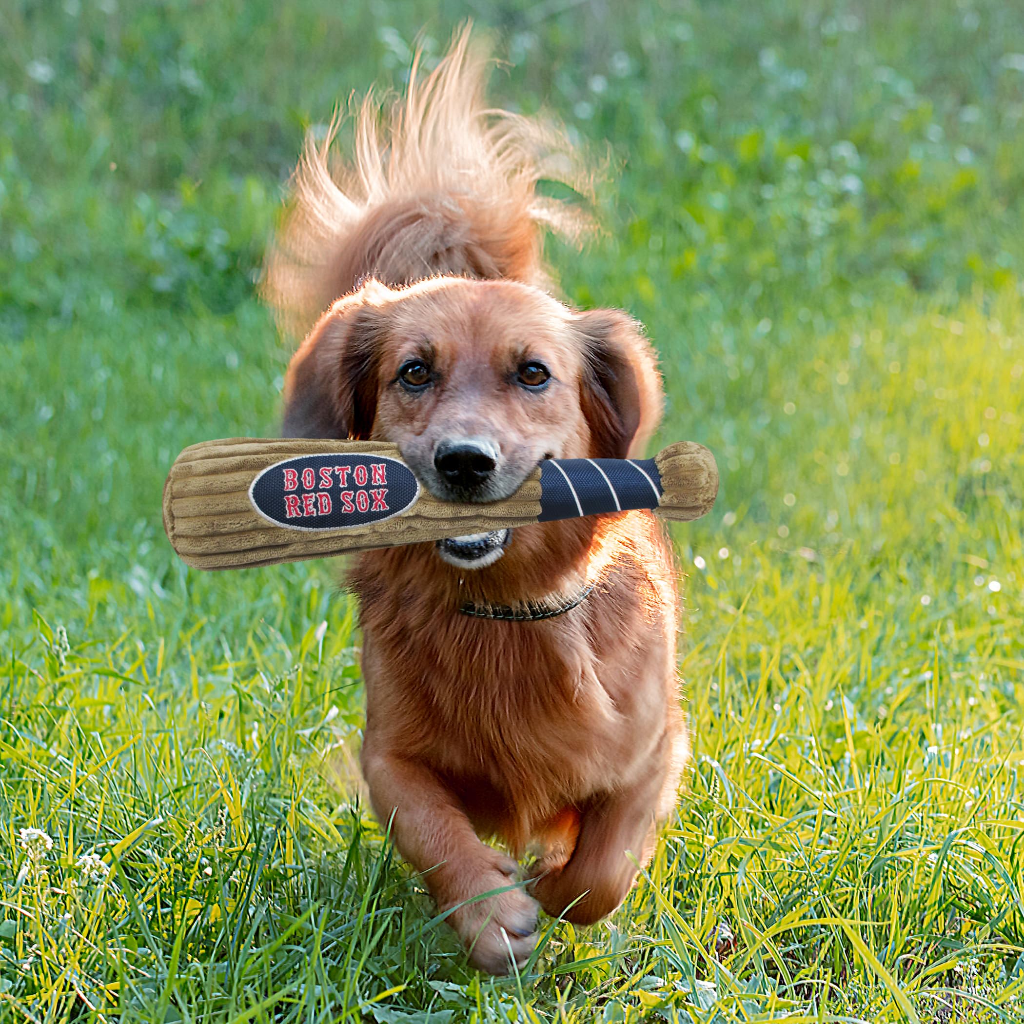 Mlb Boston Red Sox Baseball Bat Toy For Dogs & Cats. Soft Corduroy Plush Dog Toy With Inner Squeaker, Mlb Chew Toys For Dogs Or