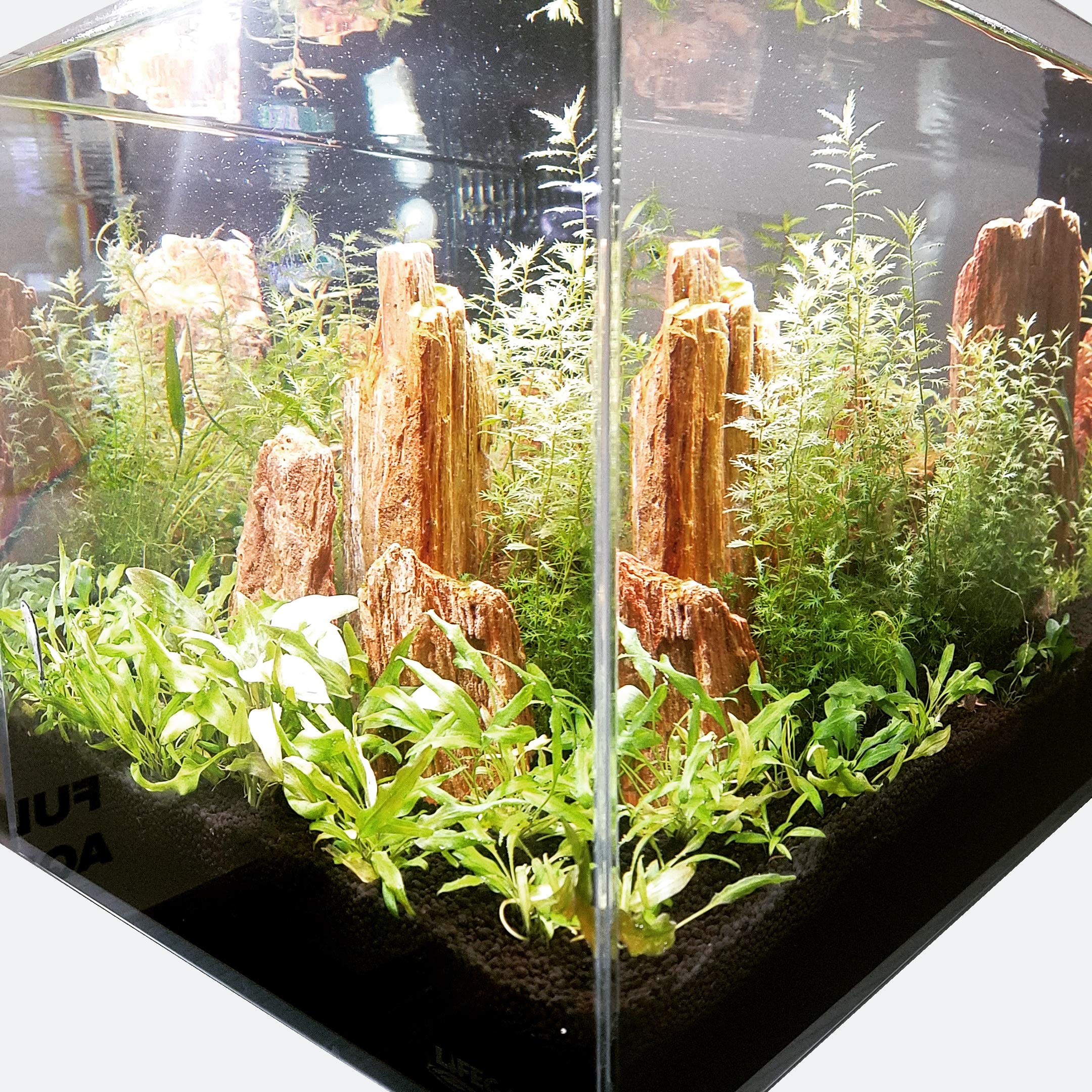 Lifegard Low Iron Ultra Clear Crystal Aquarium Tank – Rimless Glass, Beveled Edge, Rectangular Style – 5.44 Gph