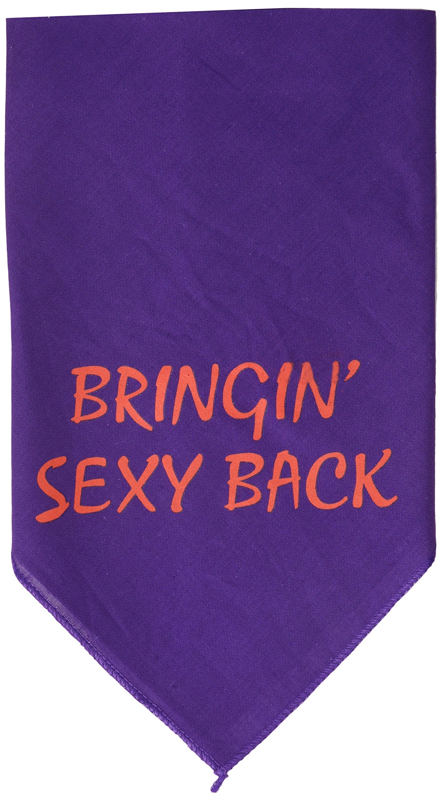 Mirage Pet Products Bringin Sexy Back Screen Print Bandana for Pets, Small, Purple