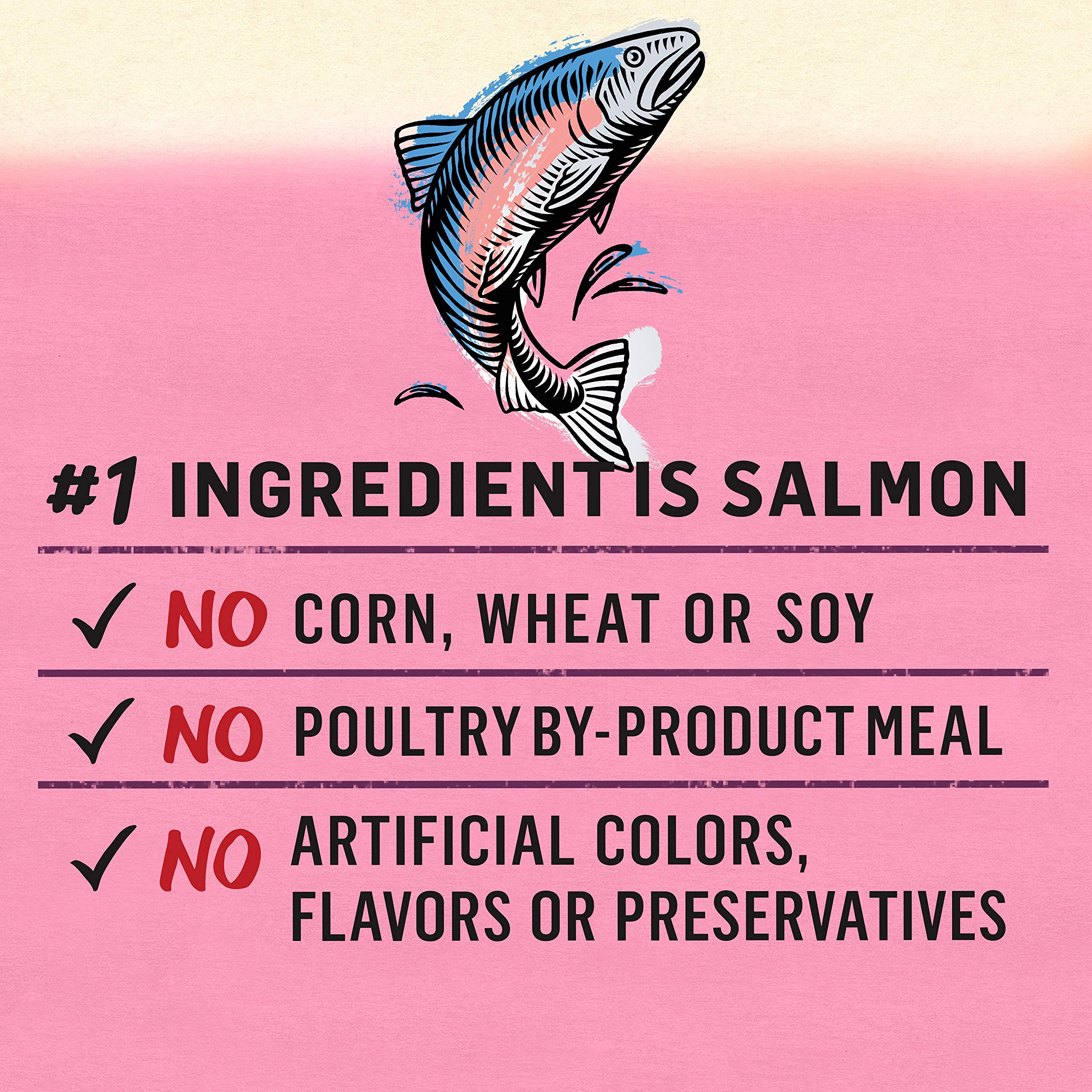 Purina Beyond Wild Salmon Recipe Grain Free Wet Cat Food Pate - (Pack of 12) 3 oz. Cans