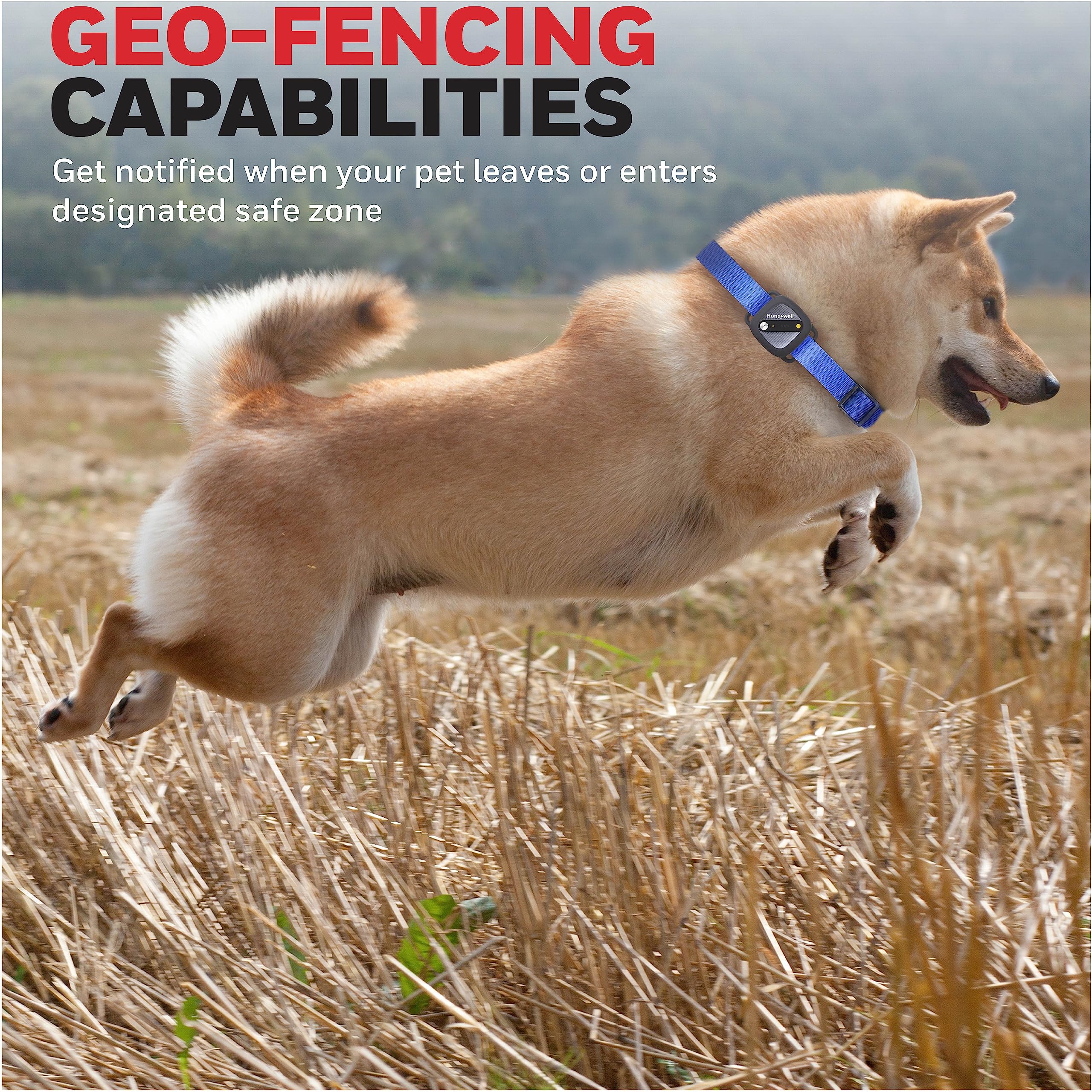 Honeywell Pet Activity Tracker with GPS for Dogs, Blue- Use Your Collar or Included One-Size-Fits-All Collar- Geo-Fencing, Find-