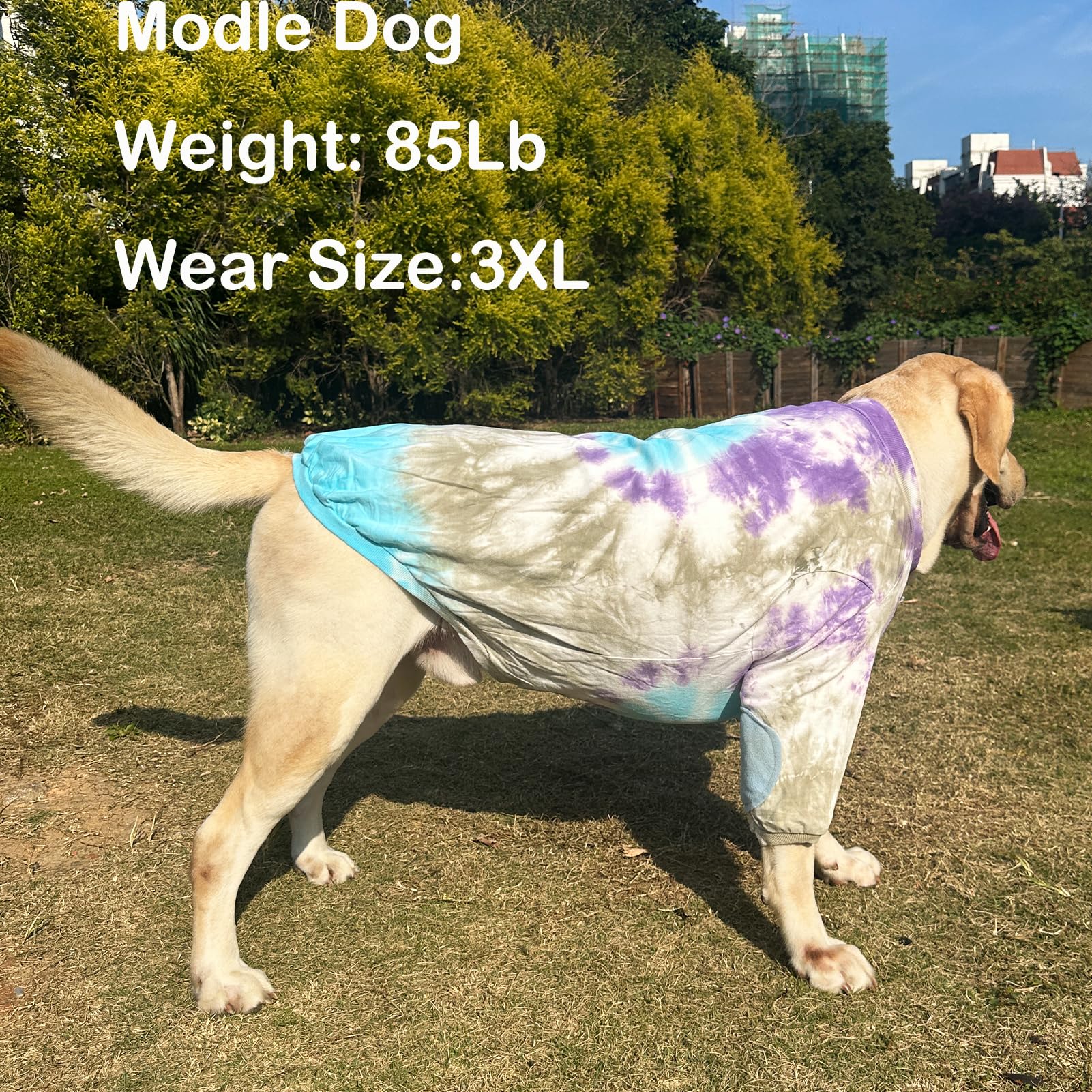 PriPre Dog Cotton Colorful Purple T-Shirts Soft and Stretchy Dog Shirt Pajamas Pets Clothes for Extra Large Dogs(3XL Purple)