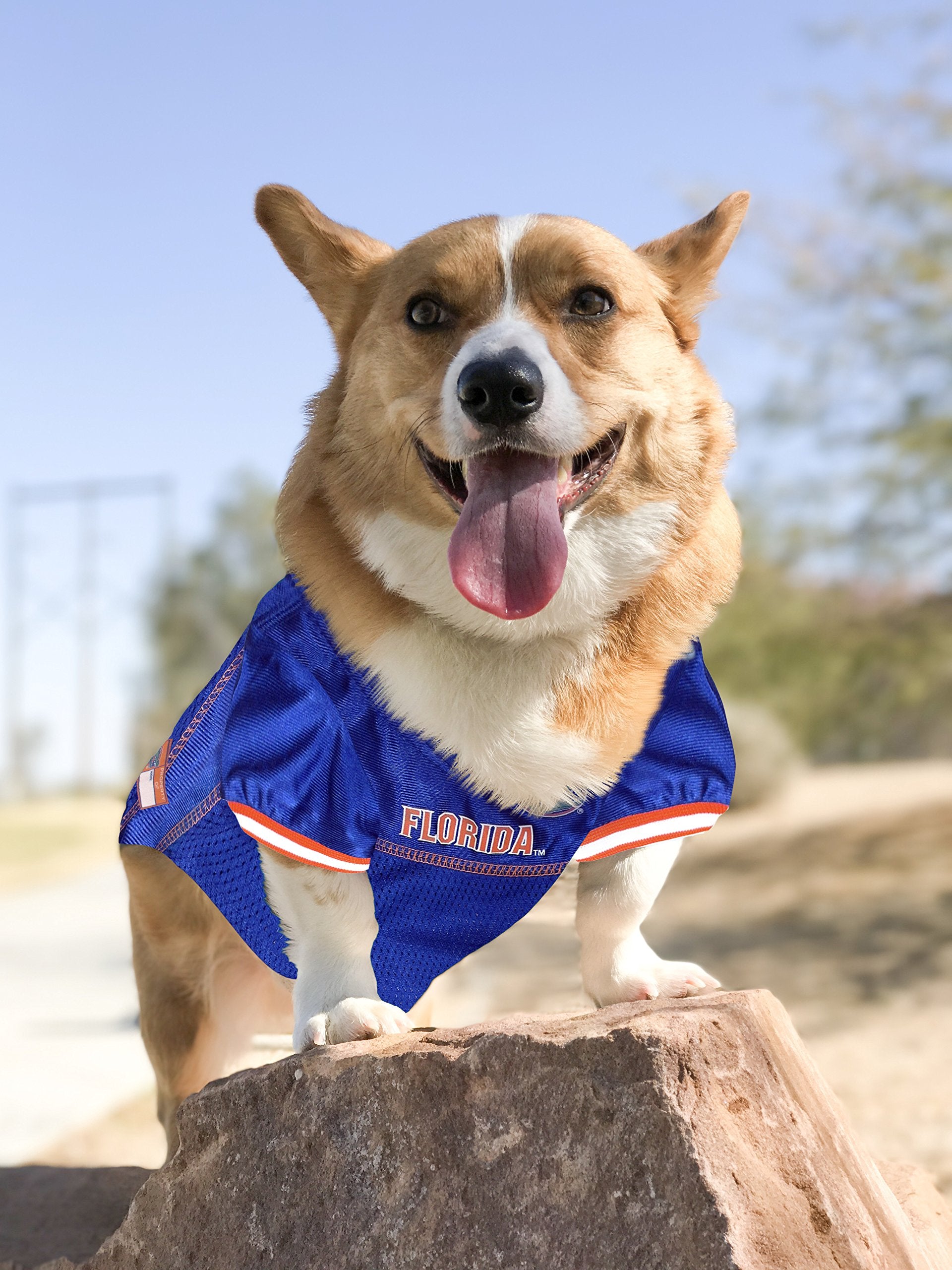 Pets First Ncaa College Florida Gators Mesh Jersey For Dogs & Cats, X-Large. Licensed Dog Jersey With Your Favorite Football/Bas
