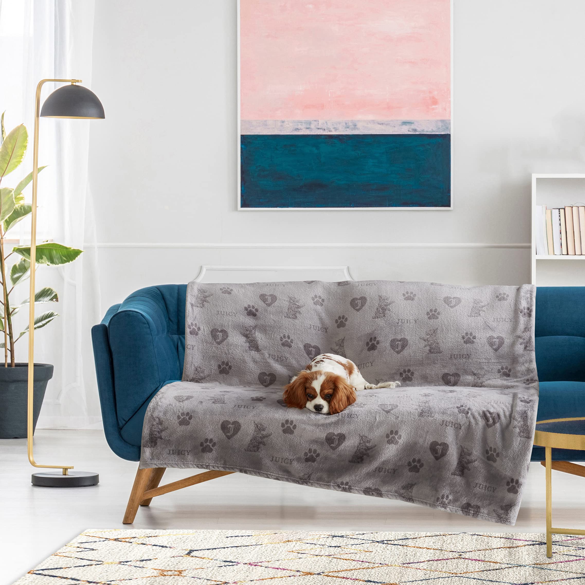 Juicy Couture Dark Grey/Light Grey 50'' X 60'' Cat, Dog, Plush Puppy Blanket Throw, Printed, Breathable, Lightweight, Machine Wa