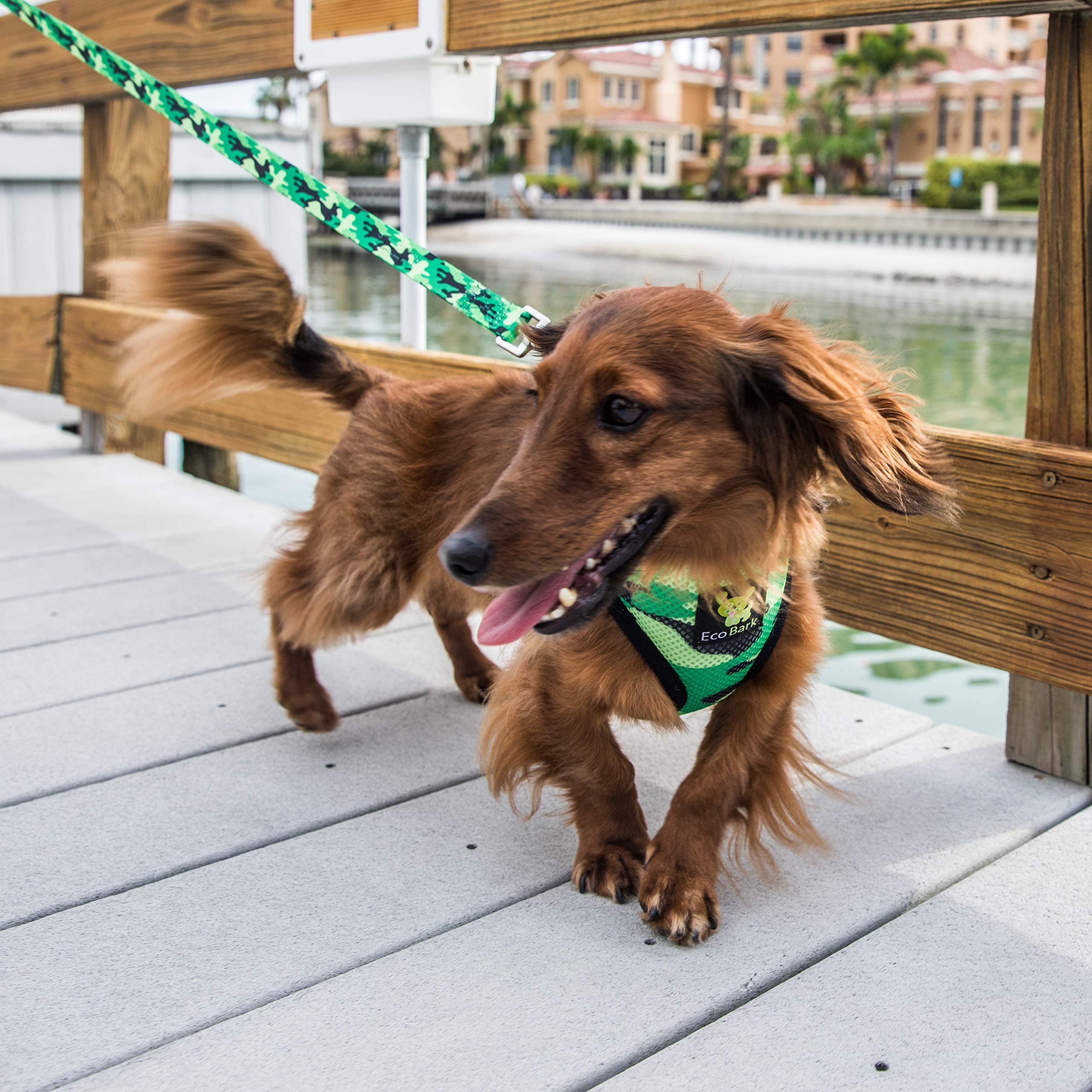 Ecobark Dog Harness - Eco-Friendly Max Comfort Harnesses - Luxurious Soft Mesh Halter - Over The Head Harness Vest- No Pull And No Choke For Puppy, Toy Breeds & Small Dogs (Medium, Camo)