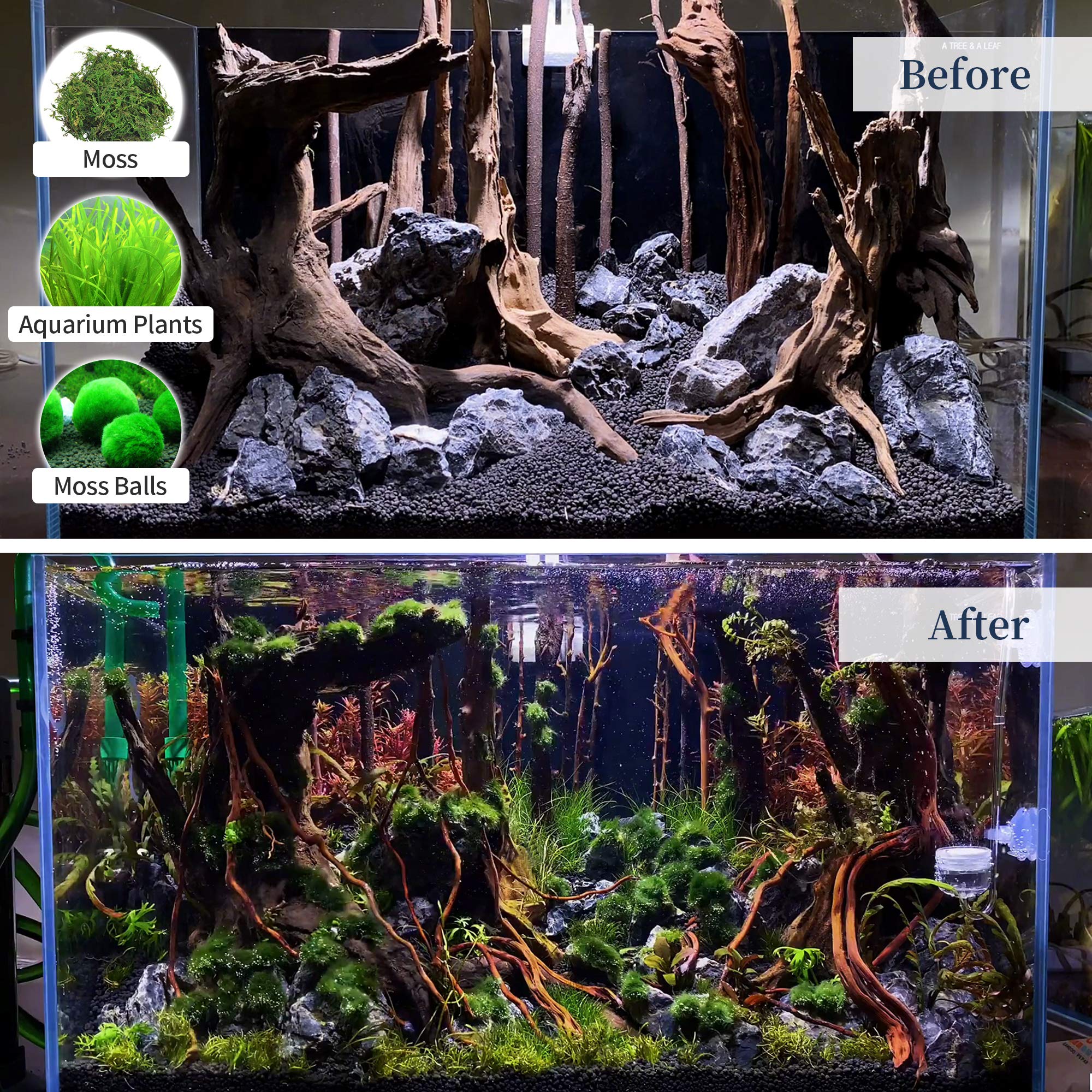 Majoywoo Natural Large Driftwood For Aquarium Decor Reptile Decor, Fewer Branches 12.5-18'' 2Pcs