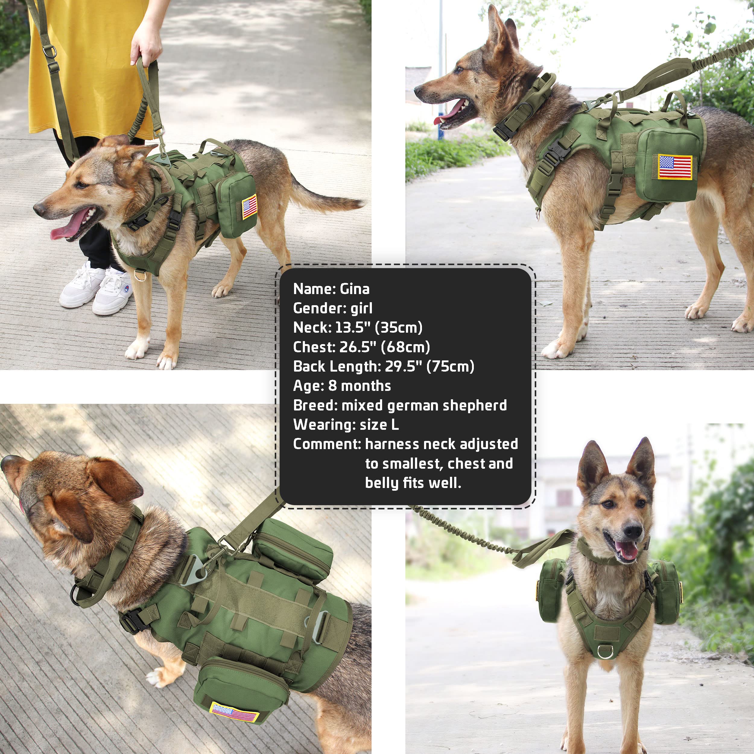 Forestpaw Tactical Dog Vest Harness And Easy Control Training Dog Collar With Bungee Dog Leash Set No Pull Military Dog Harness With Backpack For Medium Large Dogs-Green L