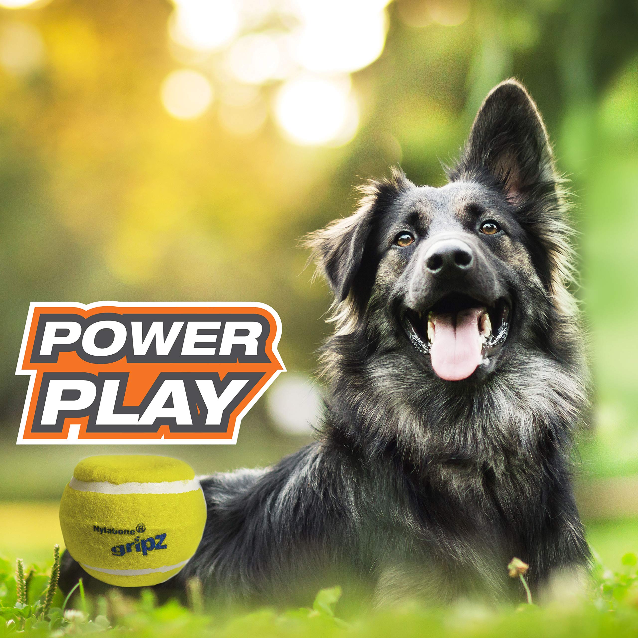 Nylabone Power Play Tennis Gripz Fetch Toy, Squeaky Tennis Ball Chew Toy For Dogs, Large (2 Count)
