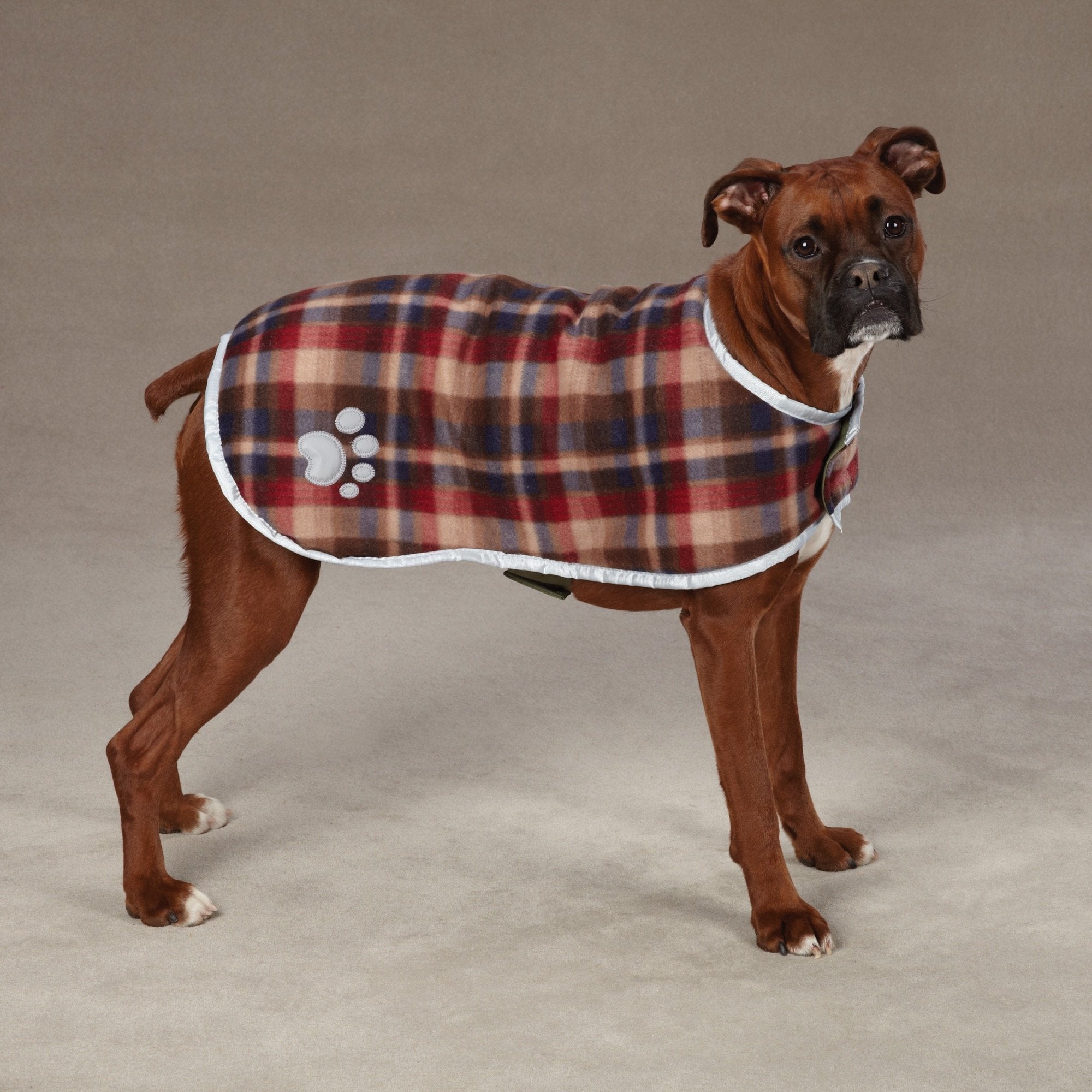Zack & Zoey Noreaster Blanket Coat for Dogs, 14 Small/Medium, Chive