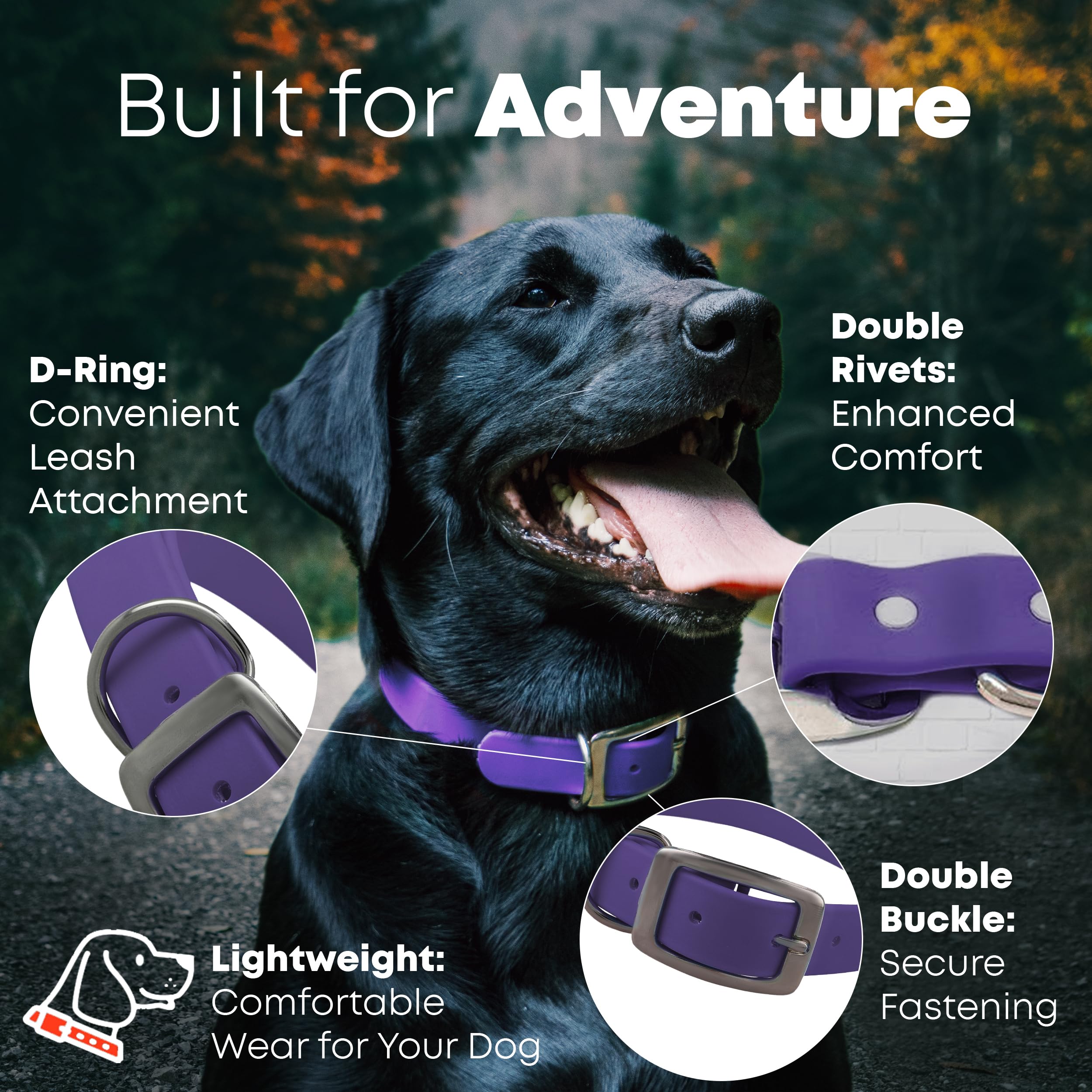 Regal Dog Products Small Purple Waterproof Dog Collar and Leash Set | Heavy Duty Double Buckle & D Ring - 5'ft Leash | Adjustabl