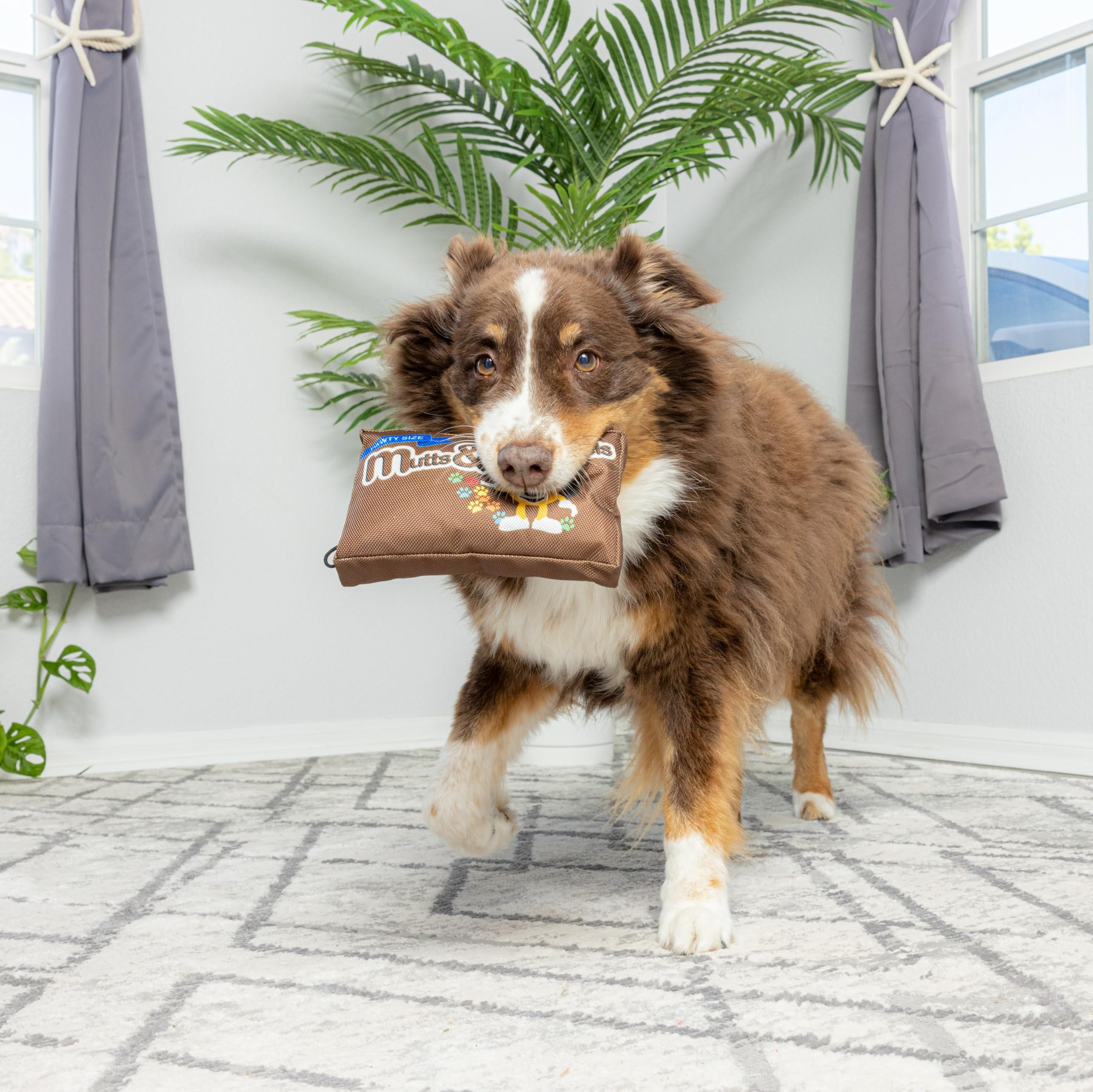 Spot By Ethical Products - Fun Candy - Whimsical Funny Dog Squeak Toys - Mutts & Mongrels
