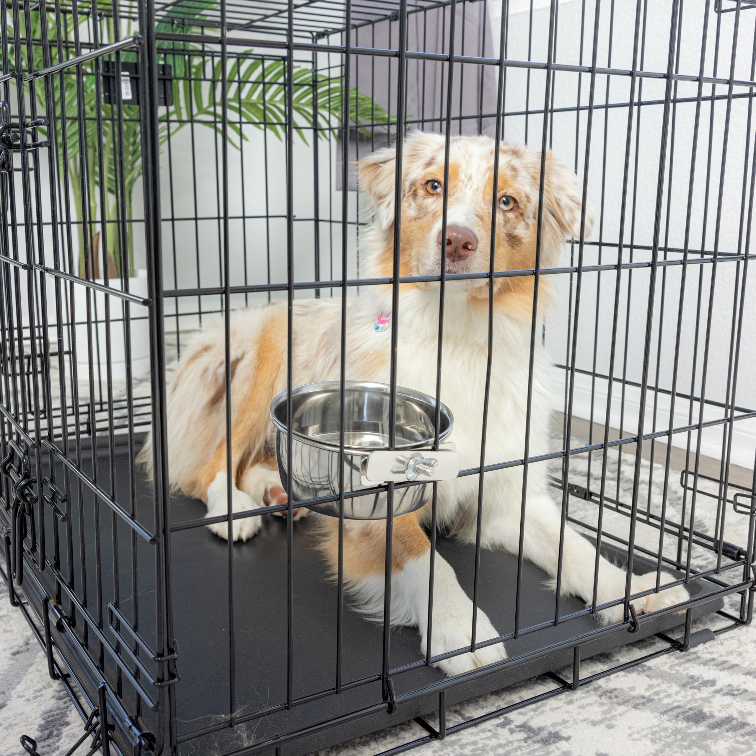 SPOT Coop Cup Bolt Clamp - Stainless Steel Hanging Bowl for Crate, Secure Pet Feeding Dish, Easy Installation, Chew-Proof Design