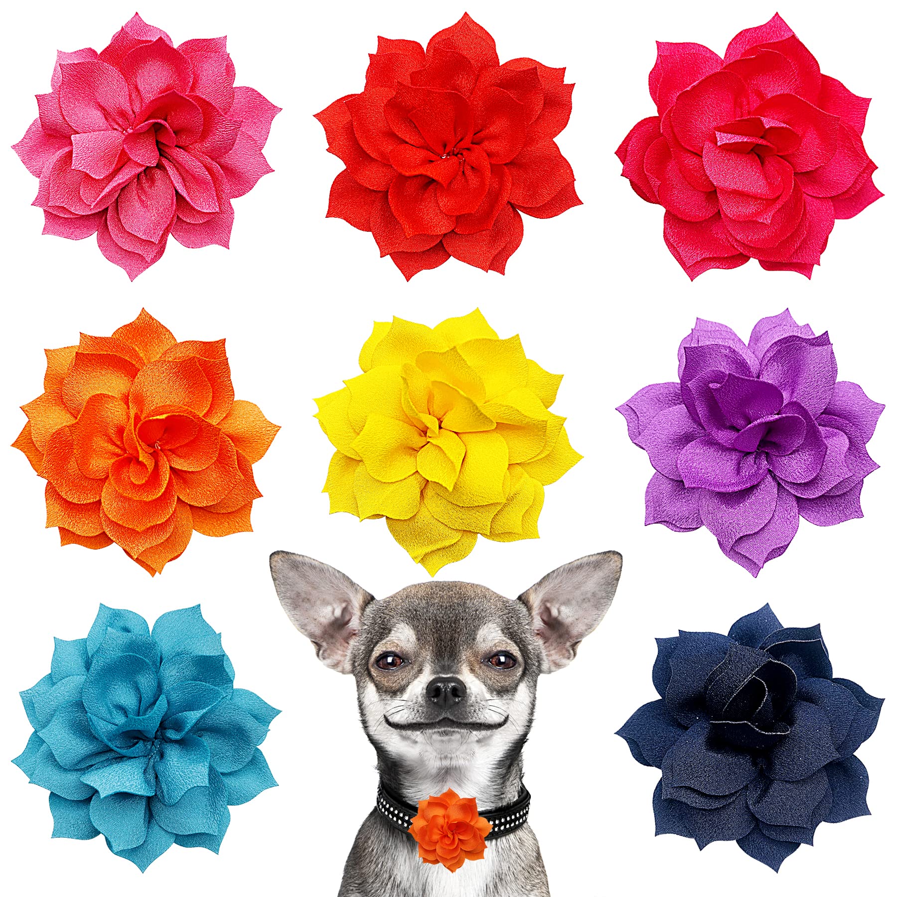 PET SHOW Dog Charms Flower Collar Embellishment Accessories For Cat Puppy Collars Dogs Bowtie Grooming Pack of 8