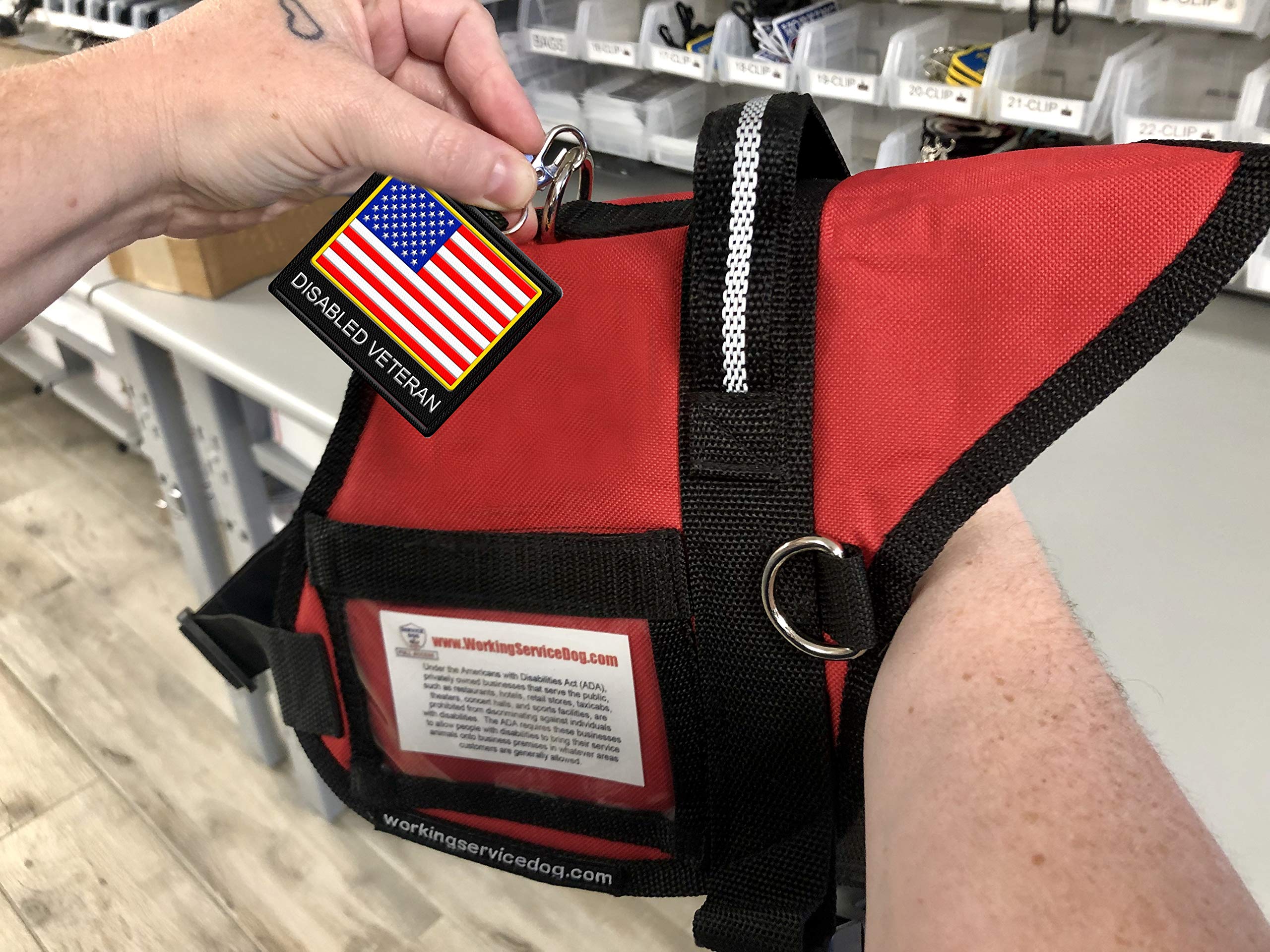 Disabled Veteran - Clip On Identification Patch Tag - Includes Five Law Handout Cards - Clips Onto A Service Dog Vest, Harness,